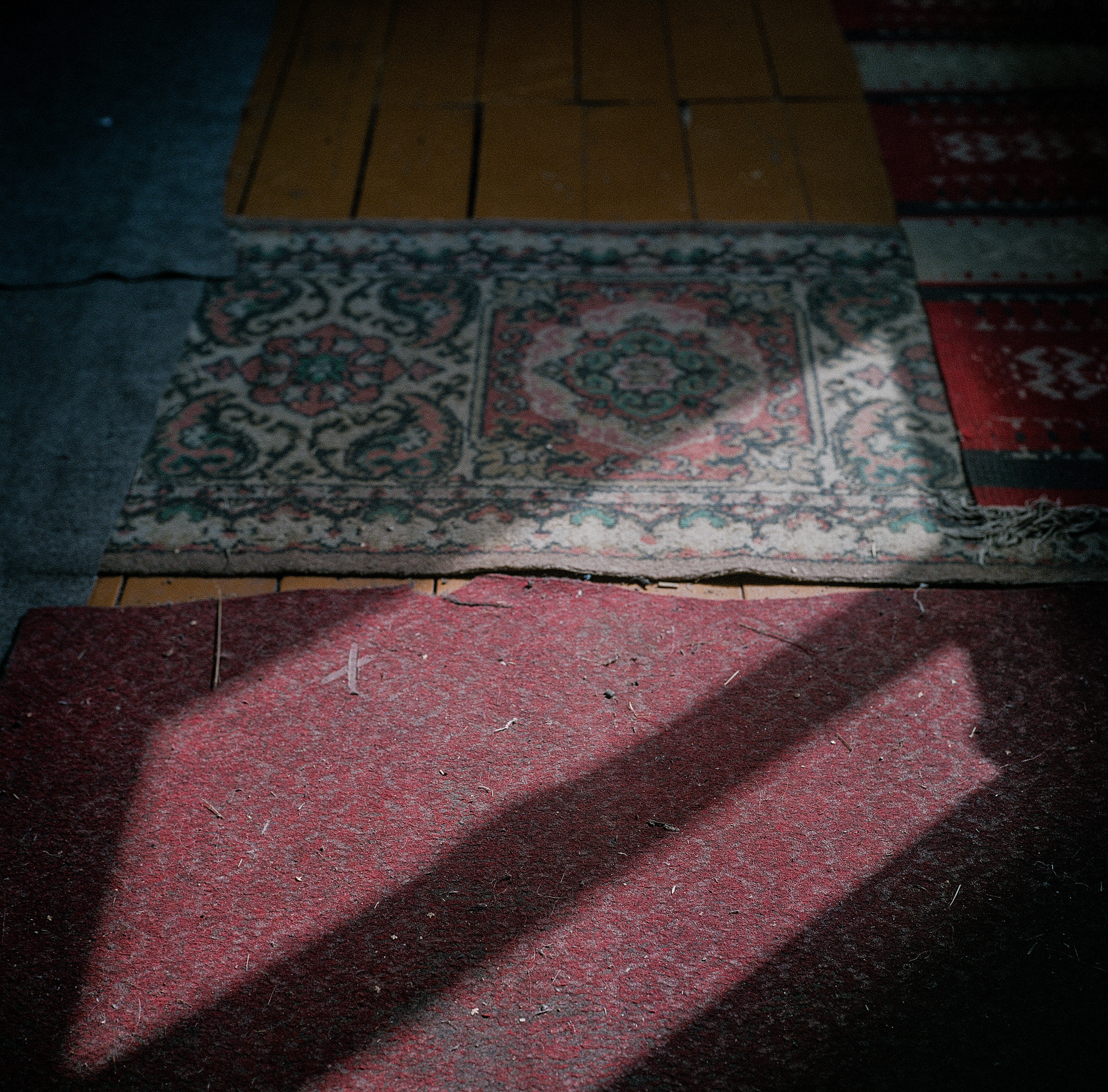 Варварина пустынь. Надежда Крылова