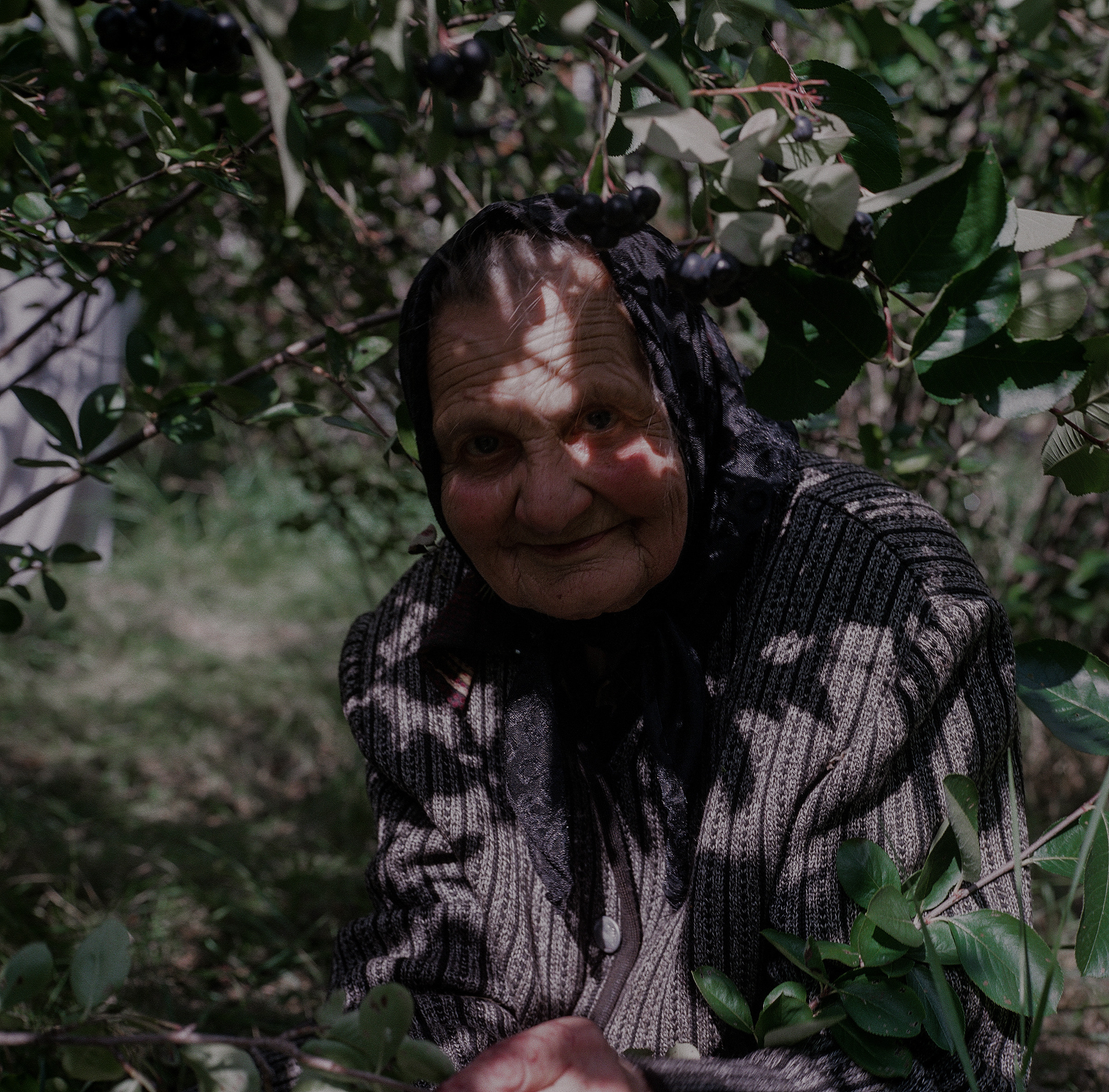 Варварина пустынь. Надежда Крылова