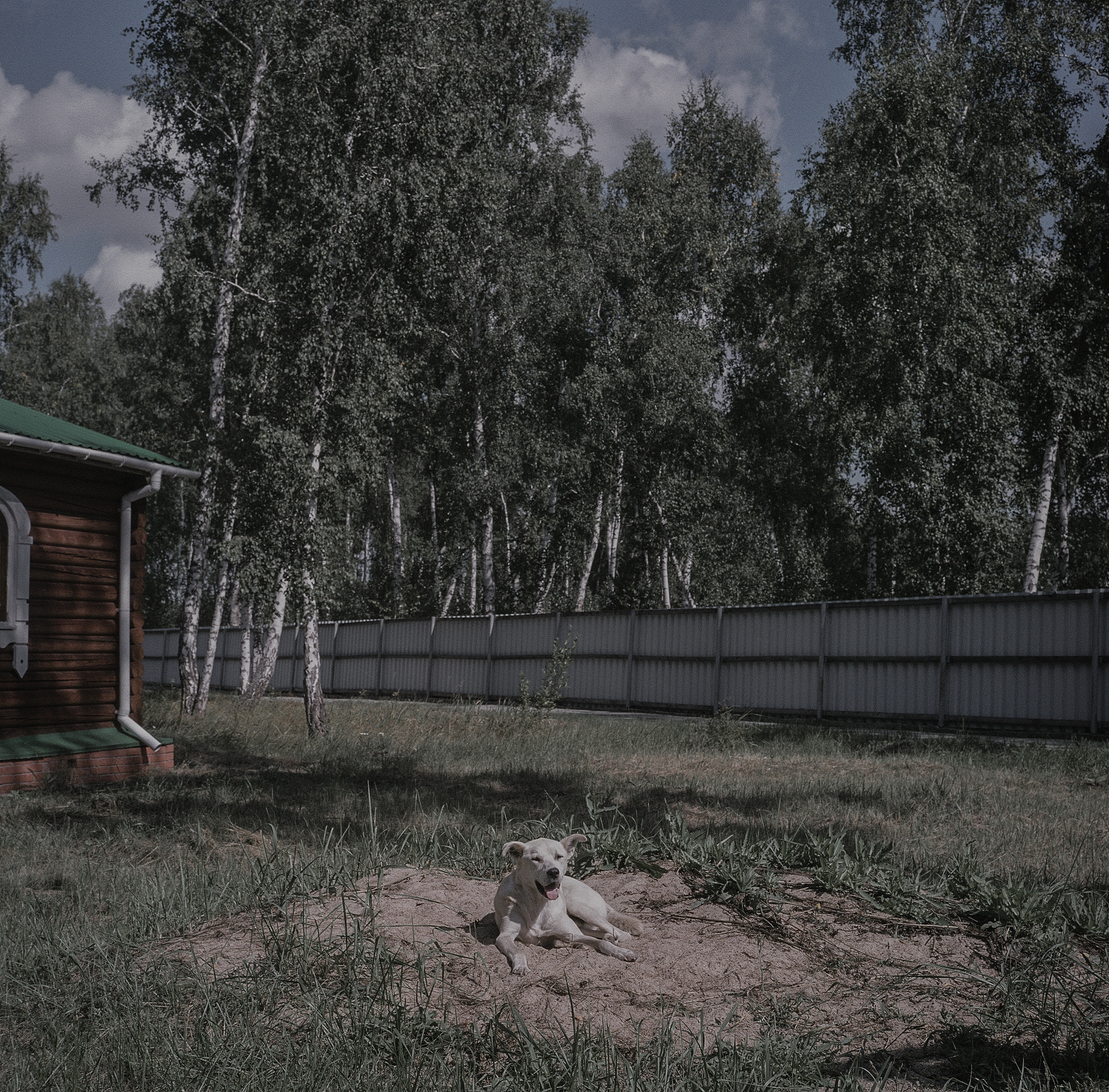 Варварина пустынь. Надежда Крылова