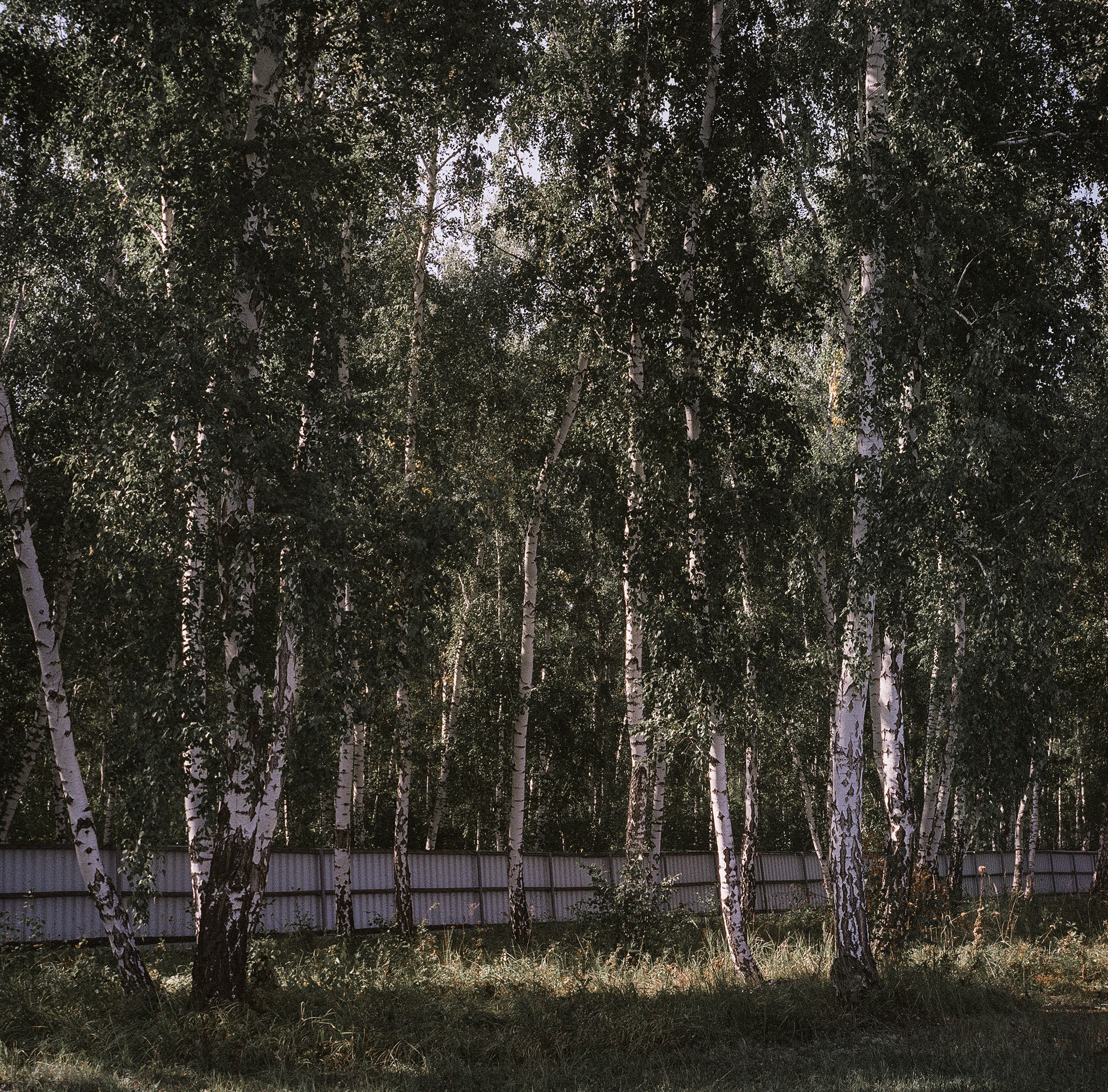 Варварина пустынь. Надежда Крылова