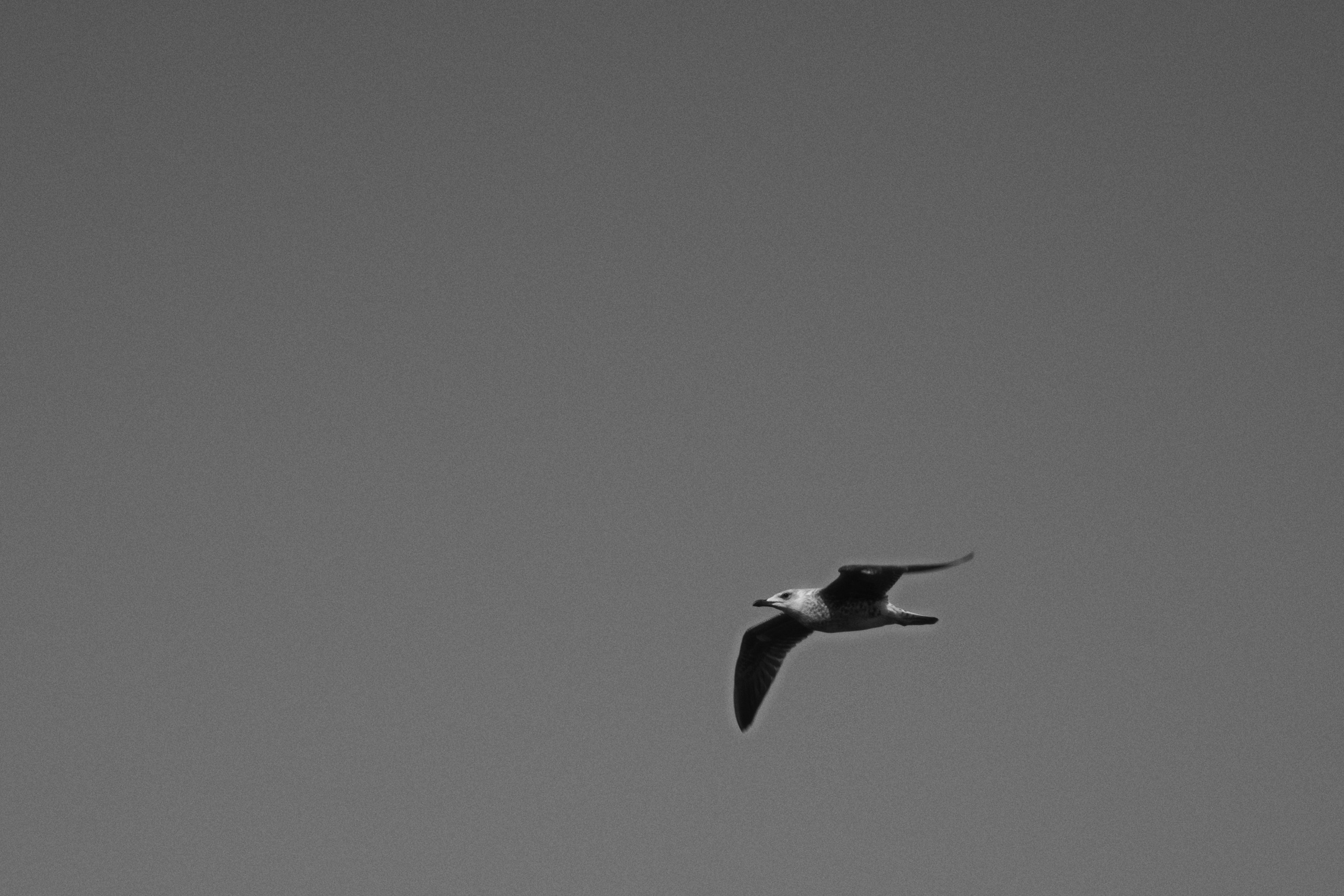 Kadikoy, Istanbul / Türkey. Фотограф Юрин Евгений