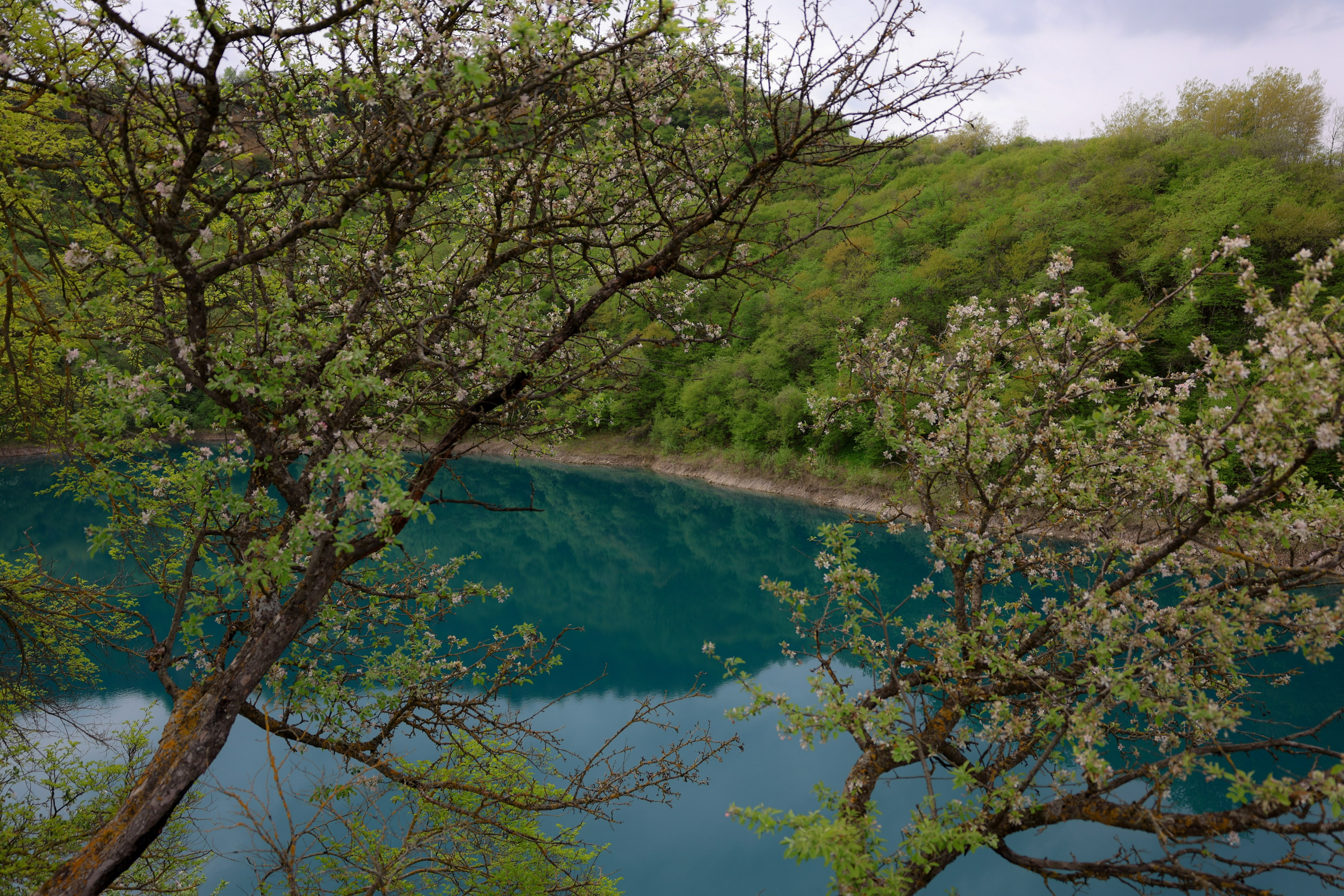 Мария Алексеева. Фотограф в Москве