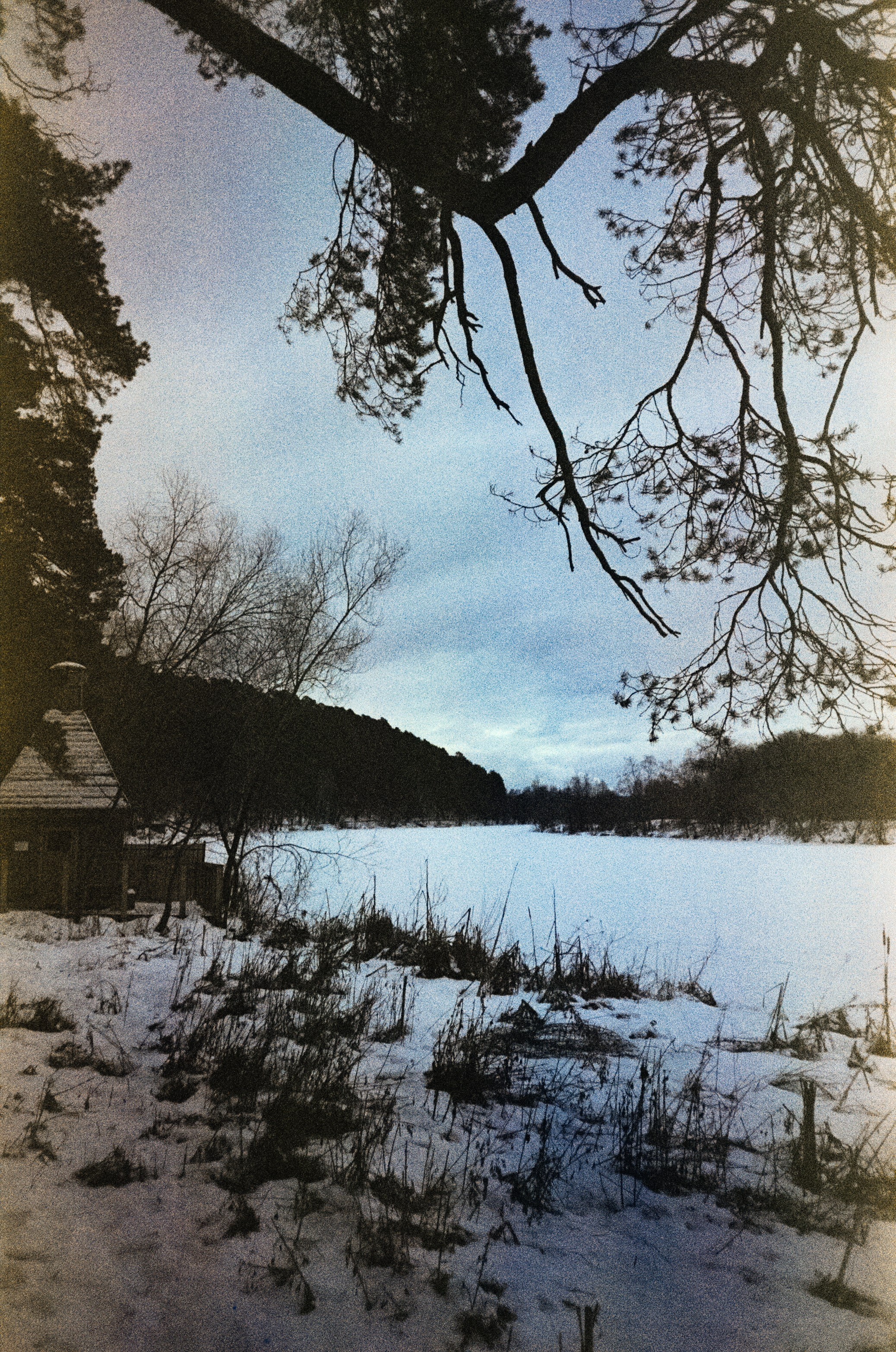 Fujicolor Superia 200 (просрочка) / Cosina CX-1 / 6 января 2025 года Усадьба Архангельское