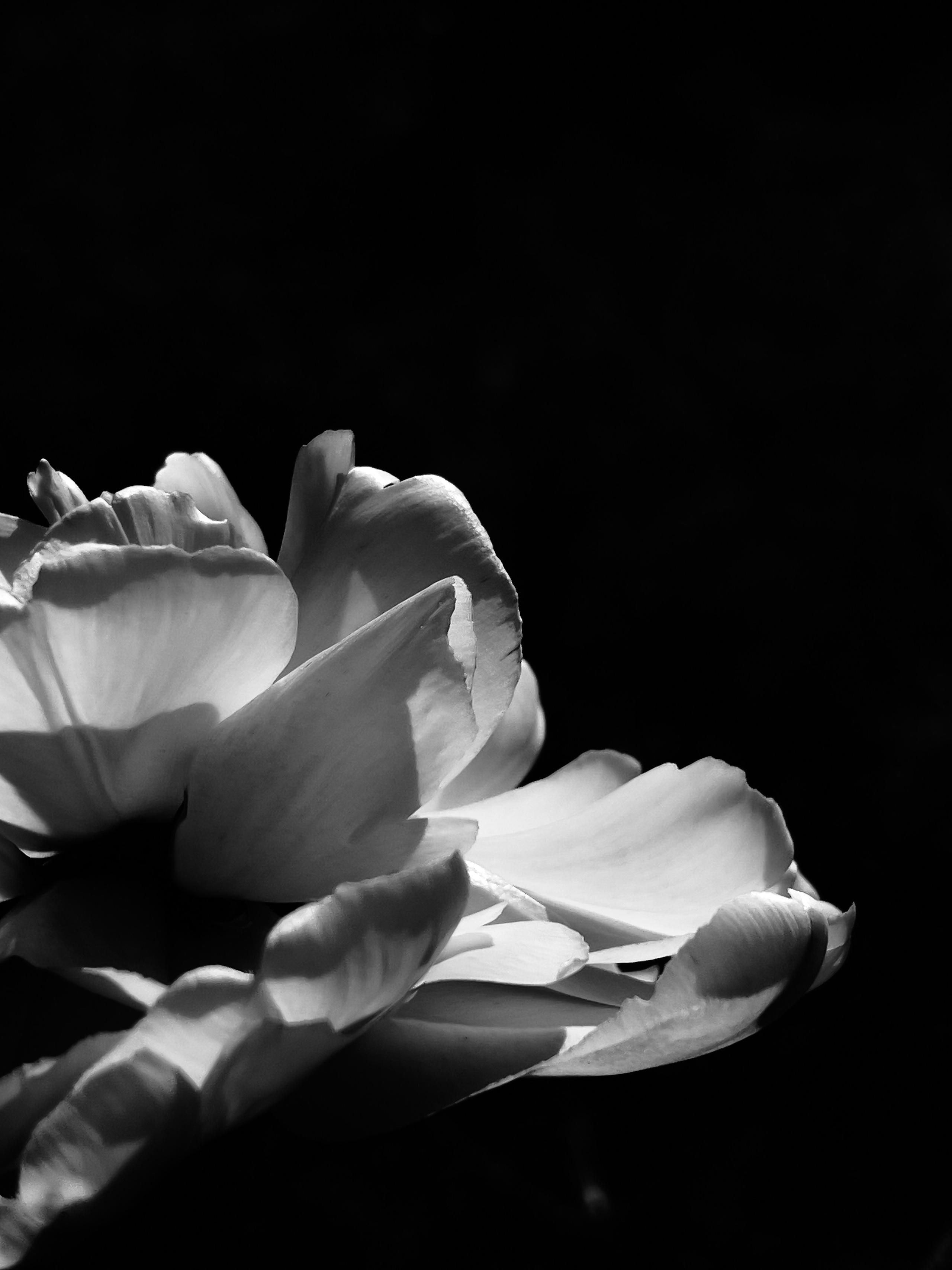 HEYDAY. Daria Blinova