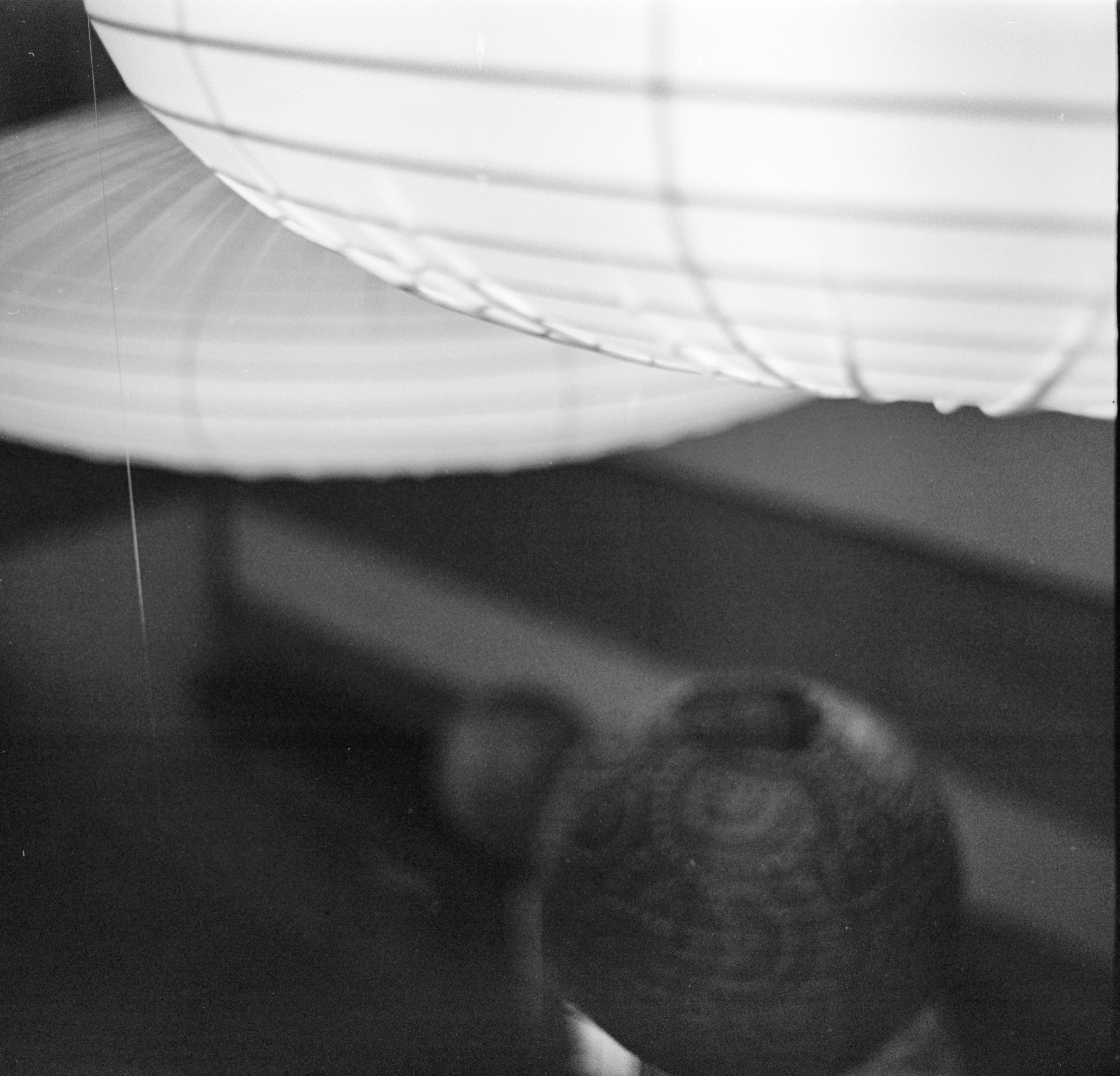 Альбом «Киссатен» г. Краснодар. Проект «Проявленные в кофе»