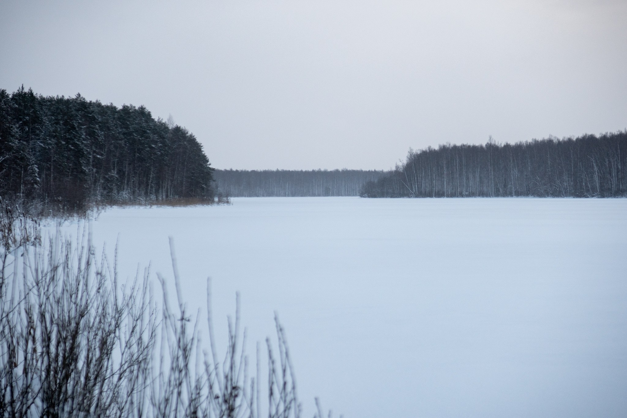 Новогодняя поездка в Санкт-Петербург. Павел Шарапов | Фотограф | Москва