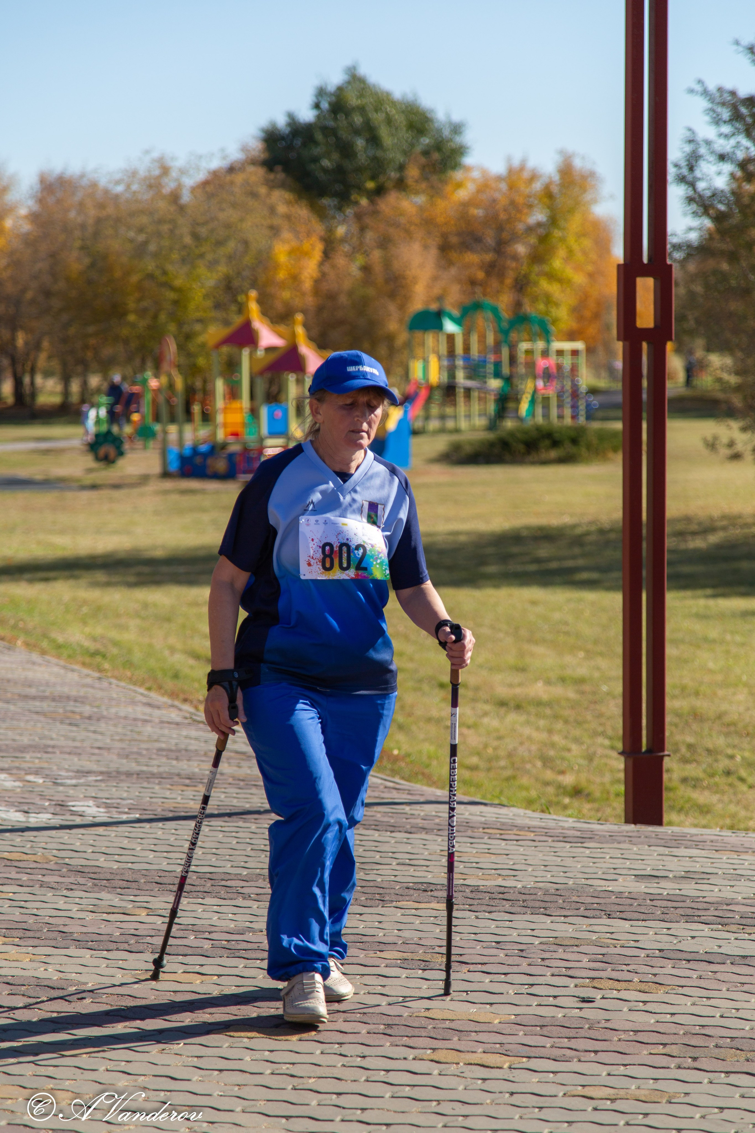 День ходьбы 2024. Фотограф Омск | Александр Вандеров