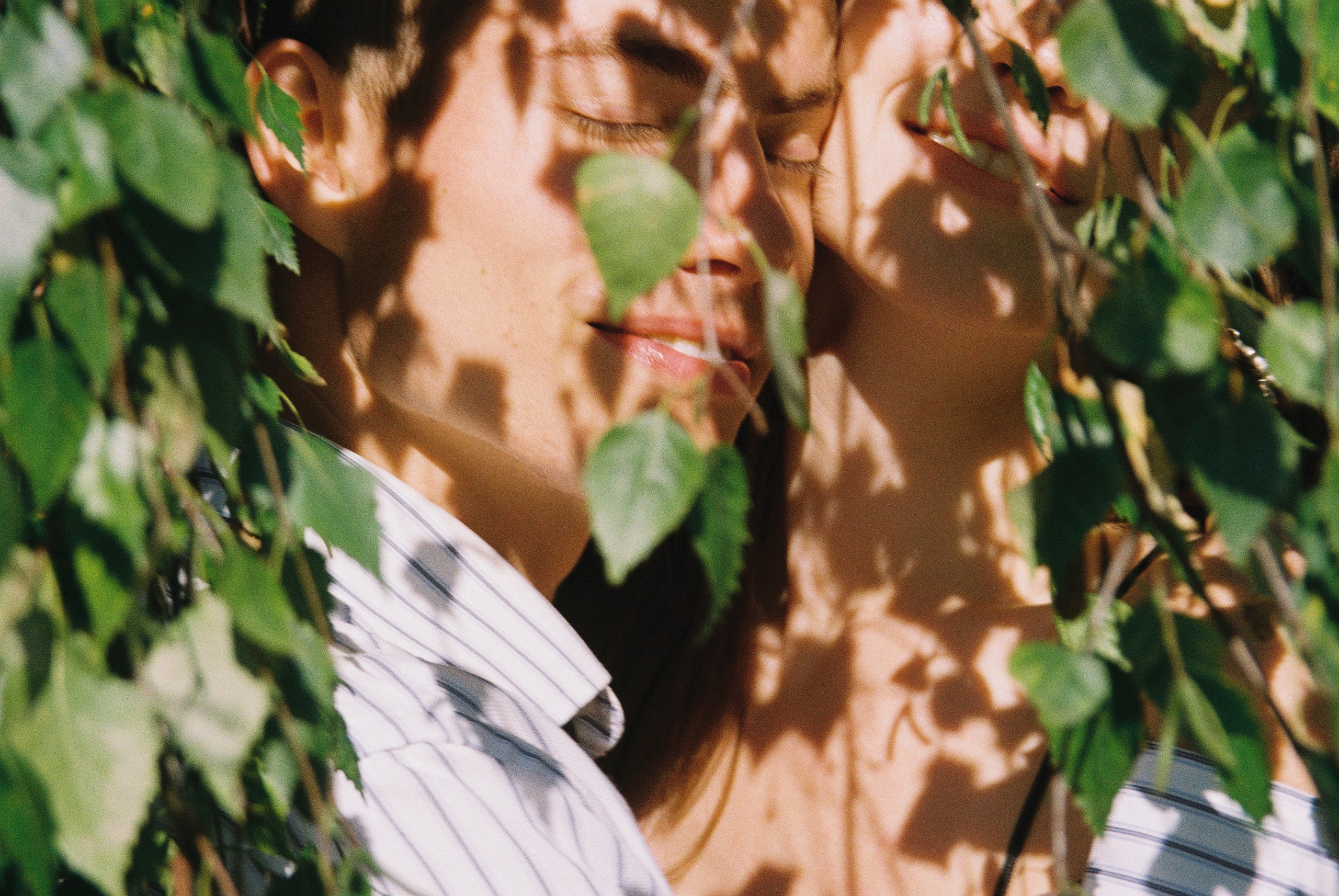 Док портрет