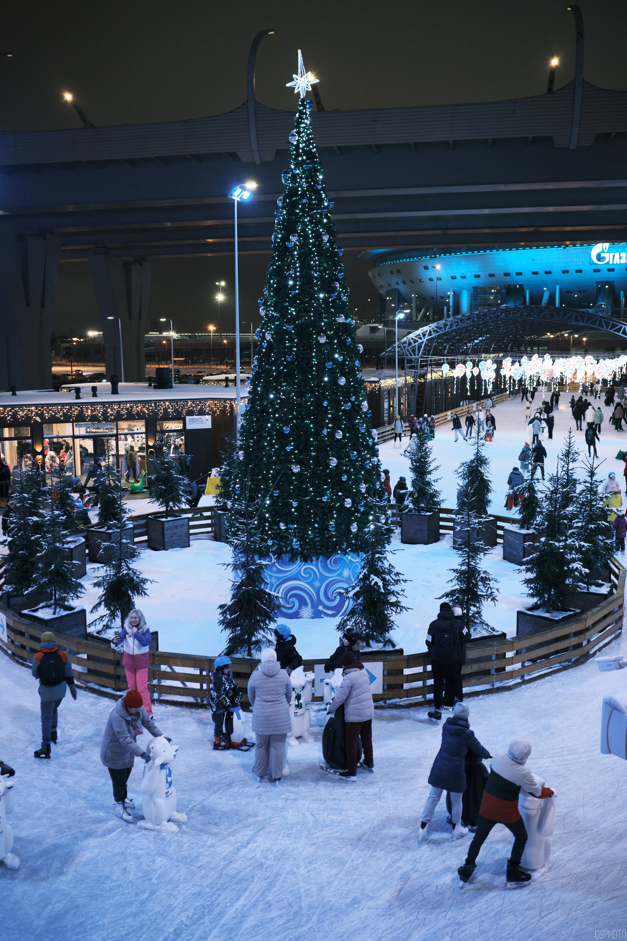 Снег и туман в Санкт-Петербурге. Фотографъ Сергѣевъ. Поймать мгновеніе