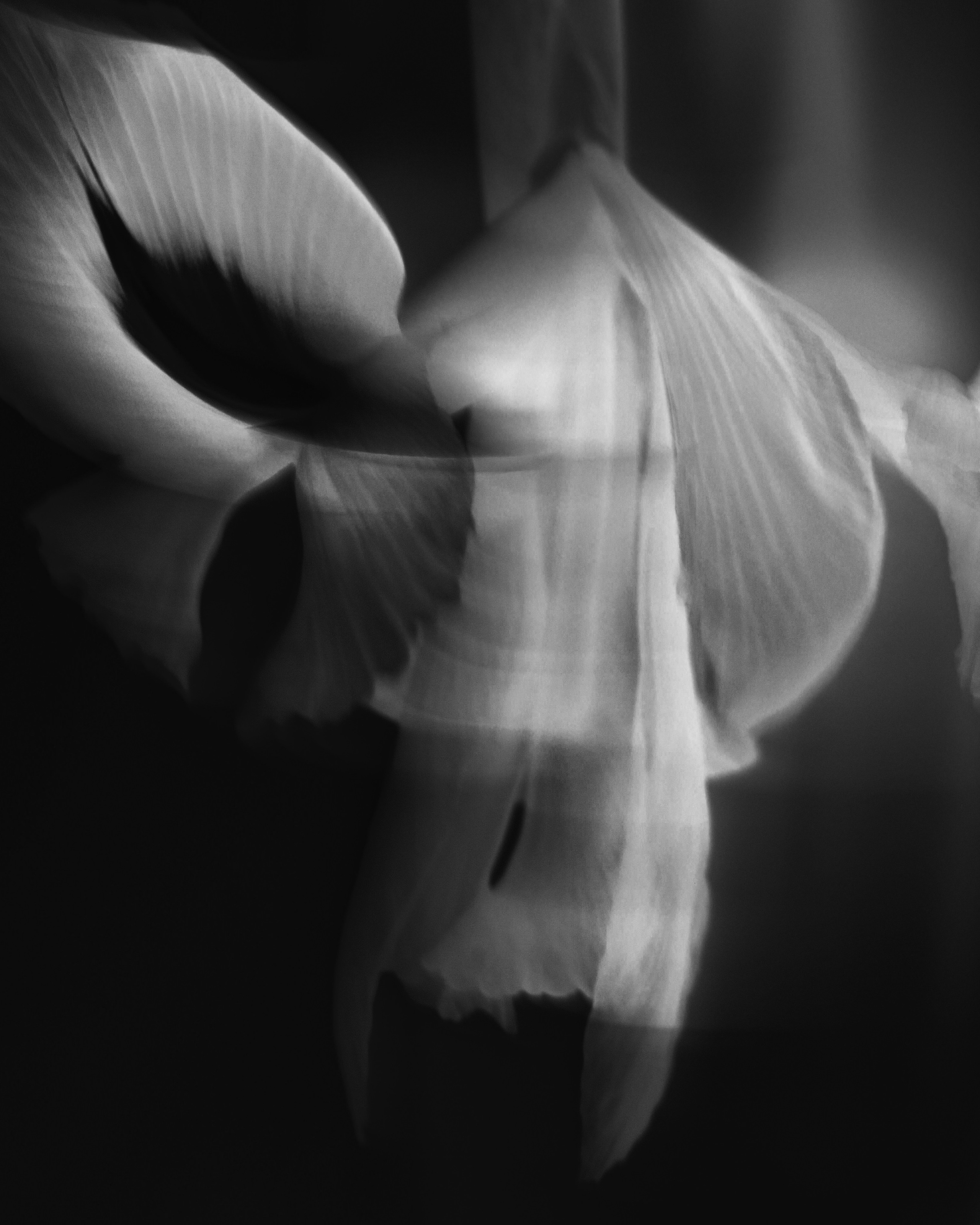 Veronika Verbitskaia | Contemporary Photographer | Dublin