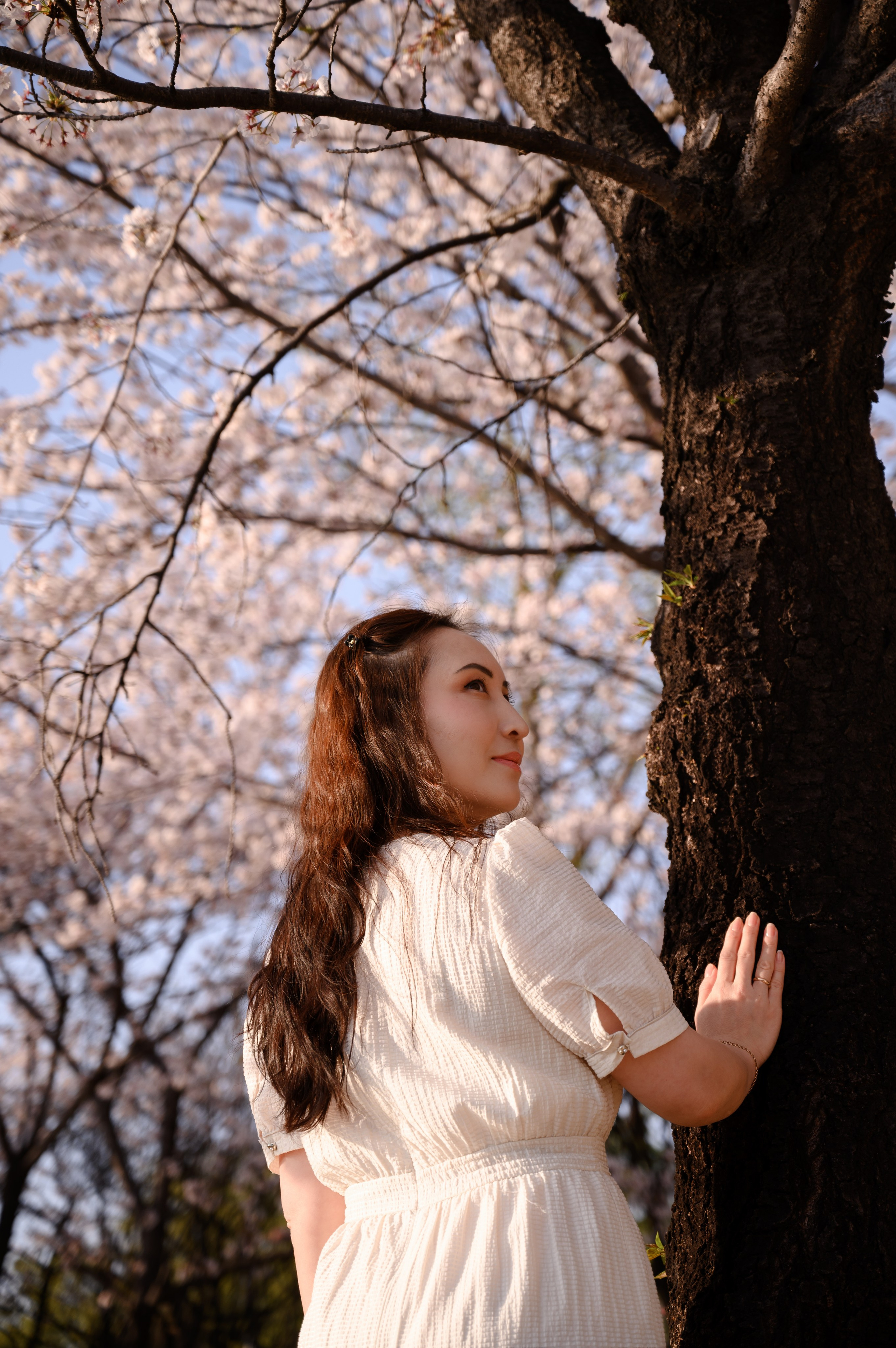 Professional cherry blossom portrait photography Busan Korea