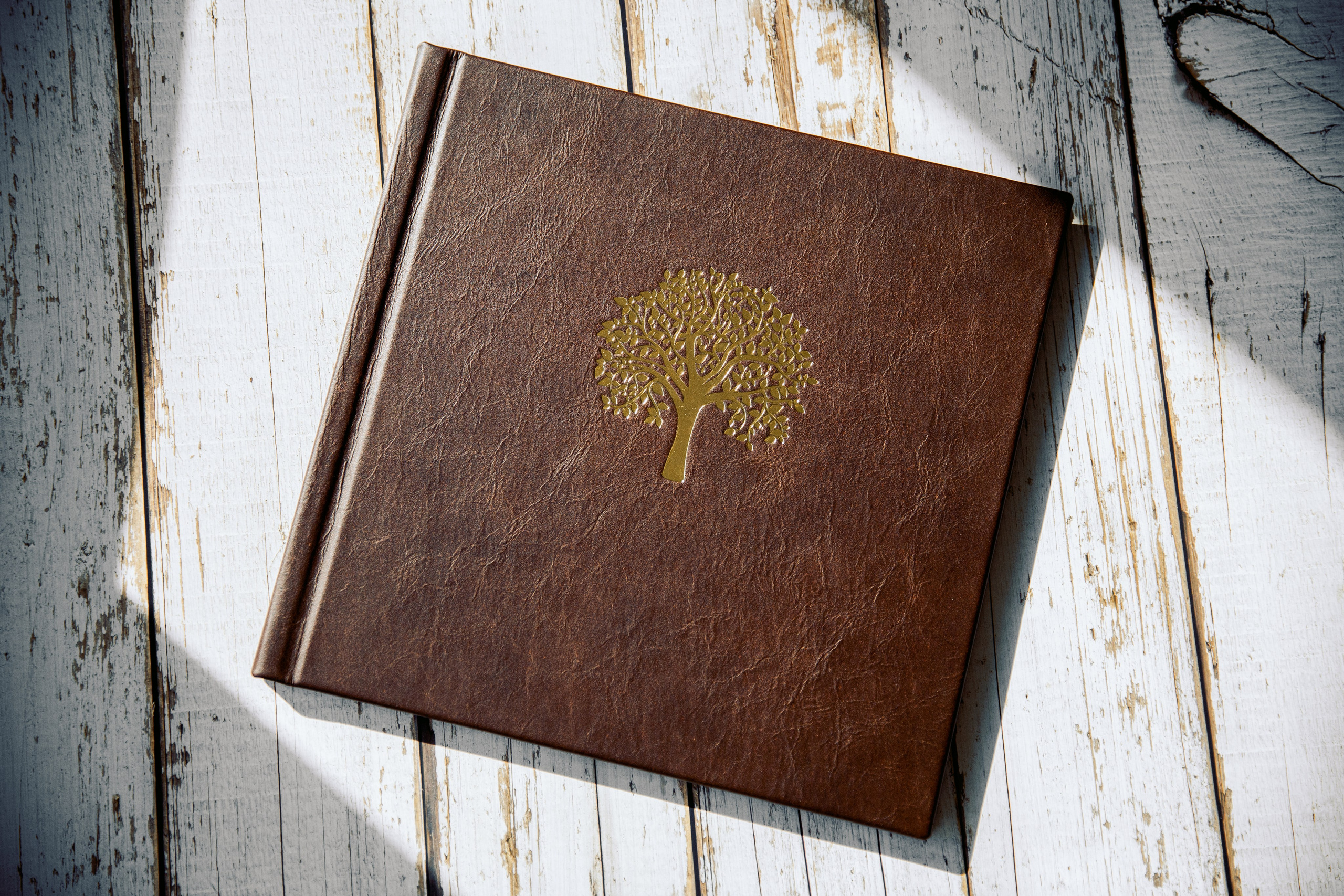 Родовая фотокнига. Семейный и детский фотограф в Москве Тихонова Ксения