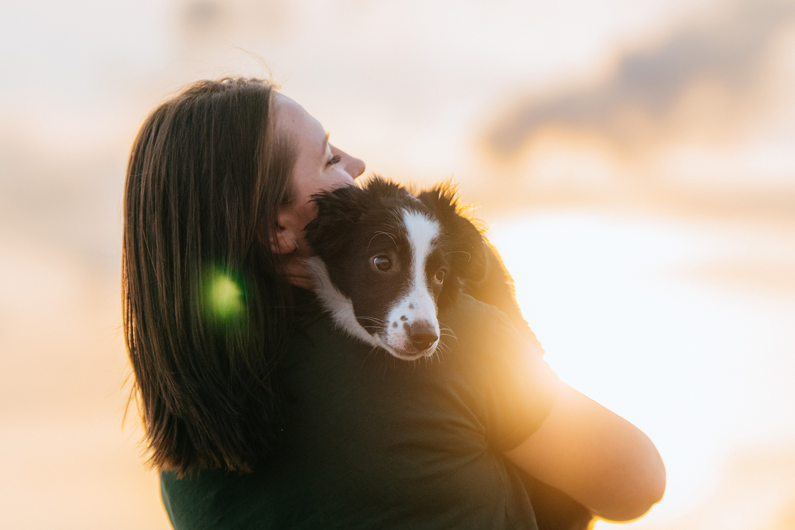 Фотосессия со щенками колли. Фотограф анималист в Спб недорого Олеся Майорова