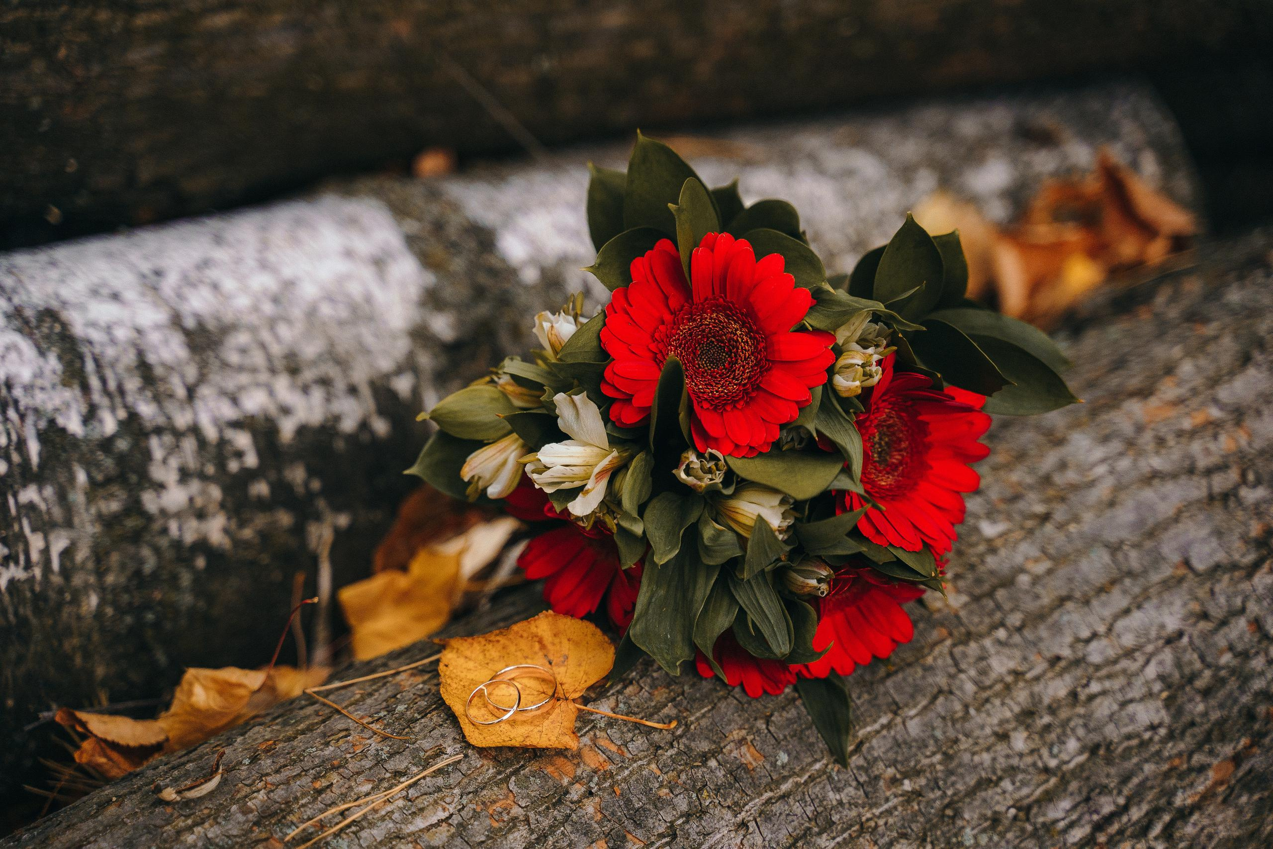 Красивые места для фотосессии в городе Королев Московской области