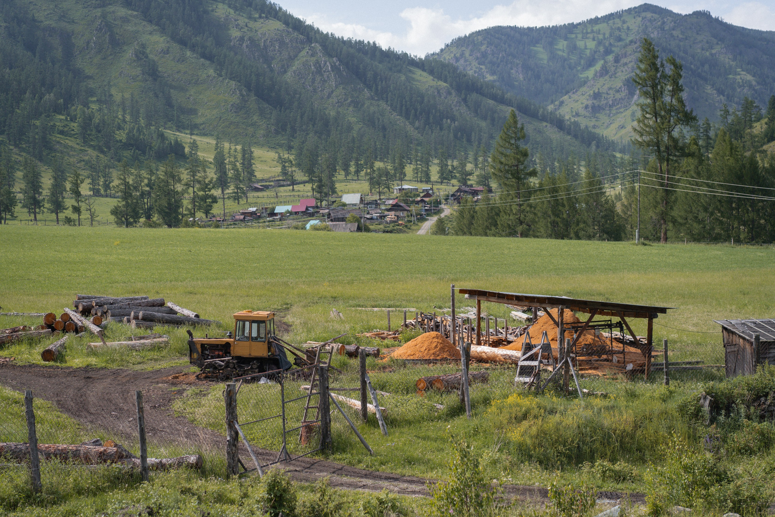 Алтай 2025. Лиза Фирстова