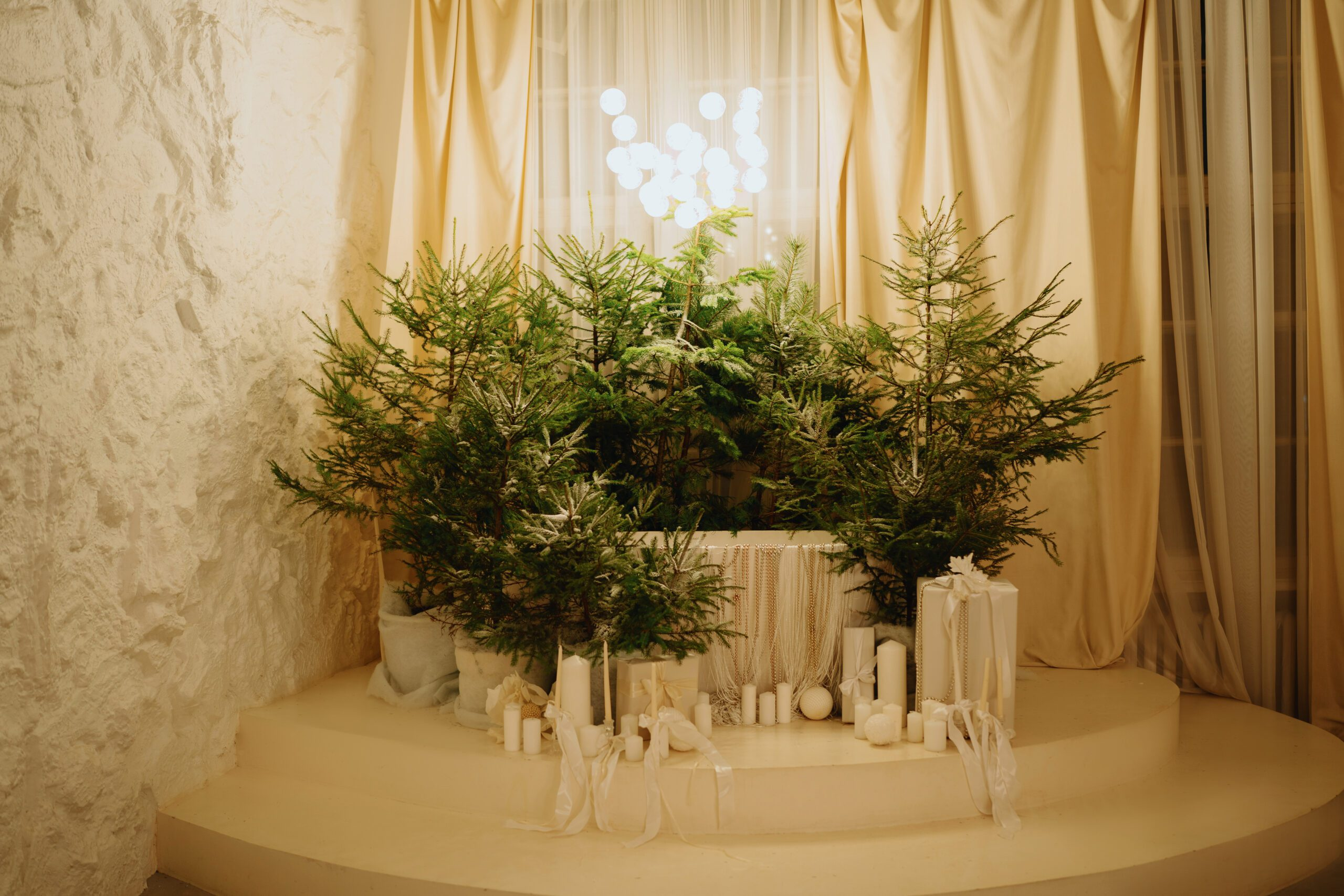 Photohub новогодние залы. Фотограф в Минске Людмила Дутко