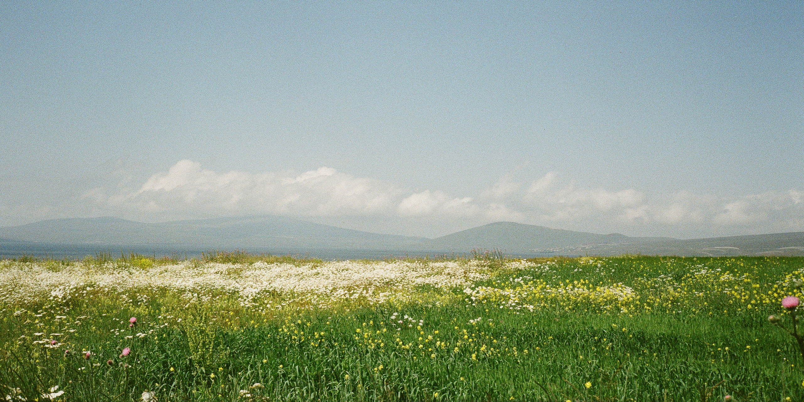 Photographer Artem Nikiforov