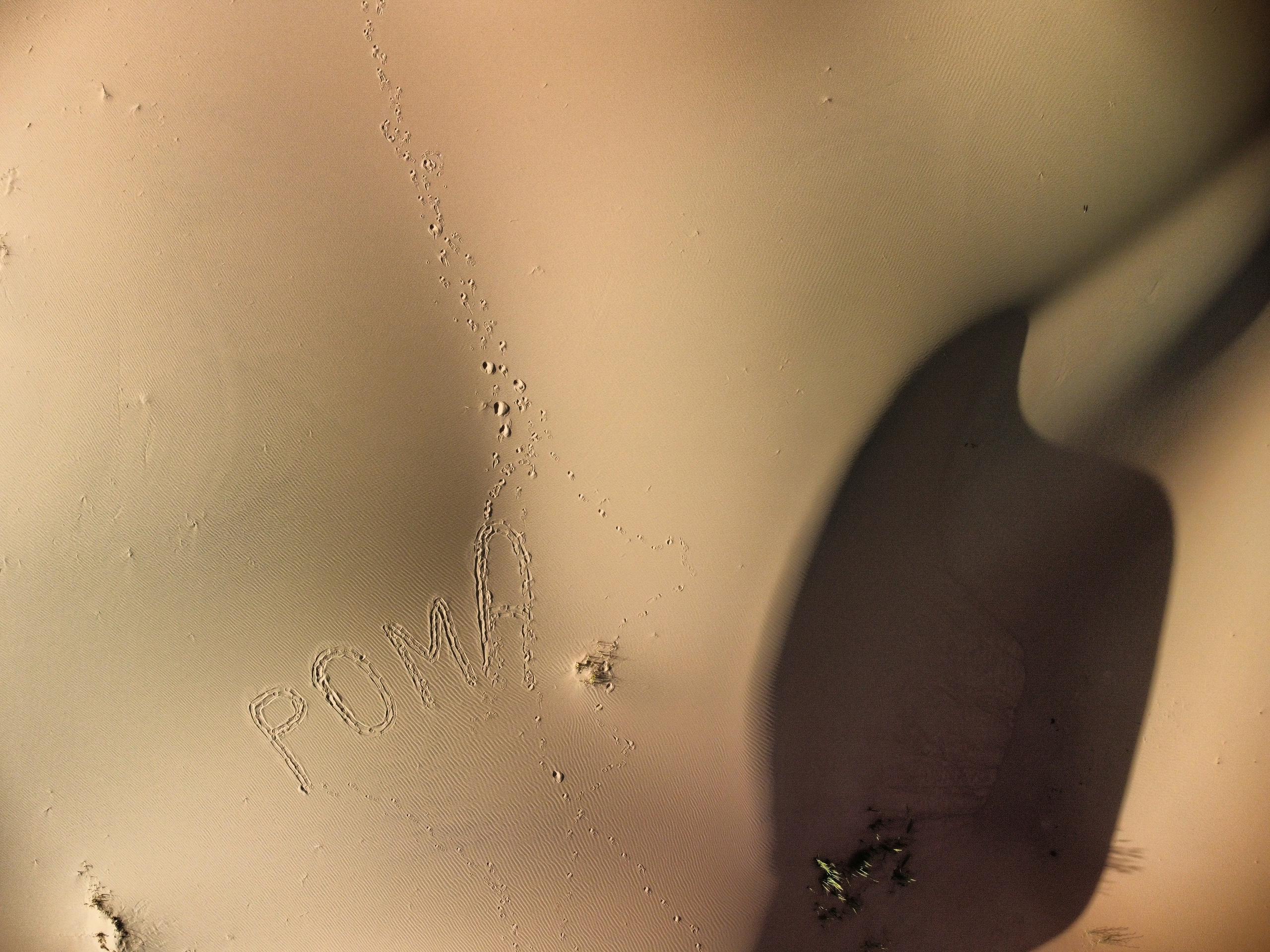 Экспедиция в Монголию (котловина больших озер). Семоха Валерий. Фотограф