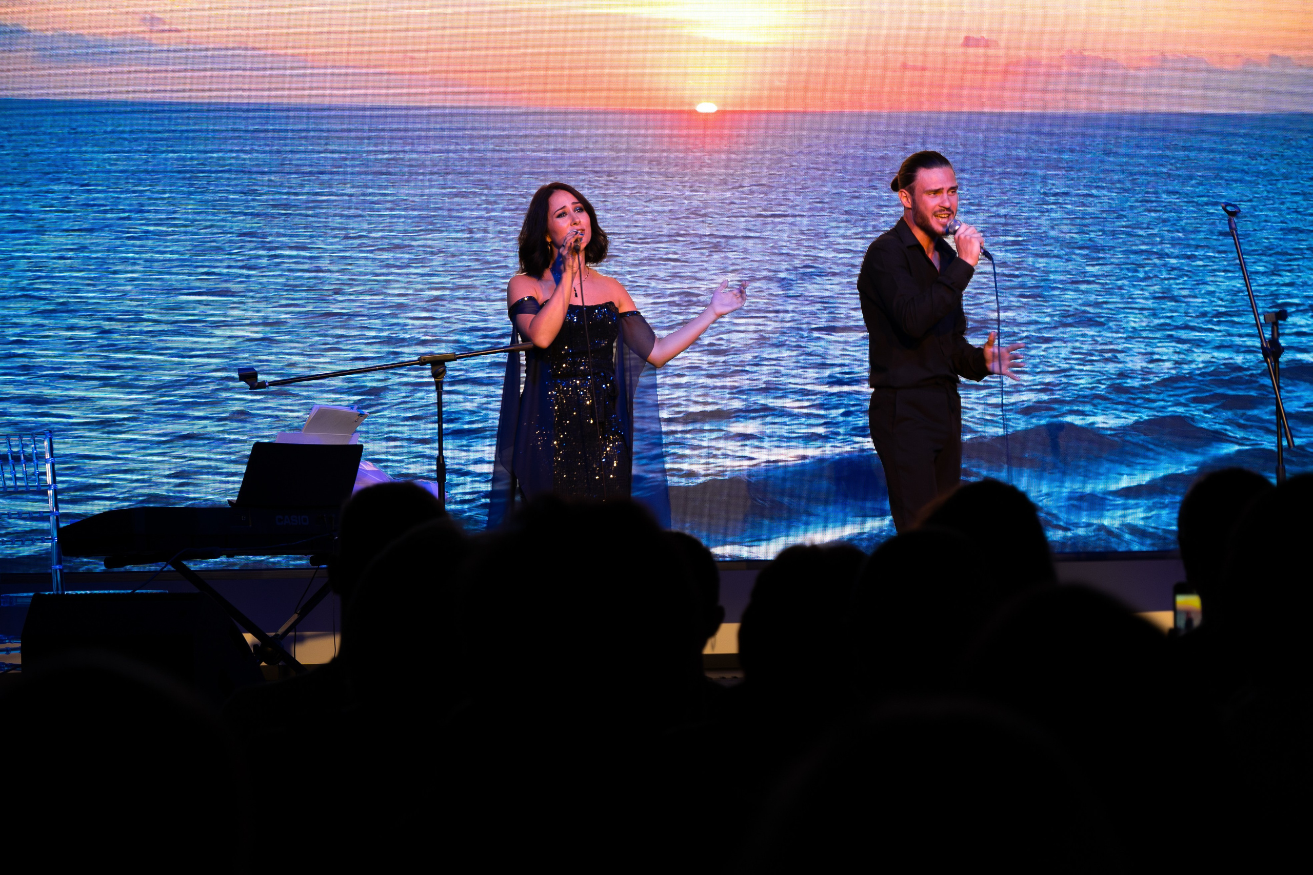 КОНЦЕРТ. Света ЧЕ. Мастер интеллектуальной фотографии. Краснодар