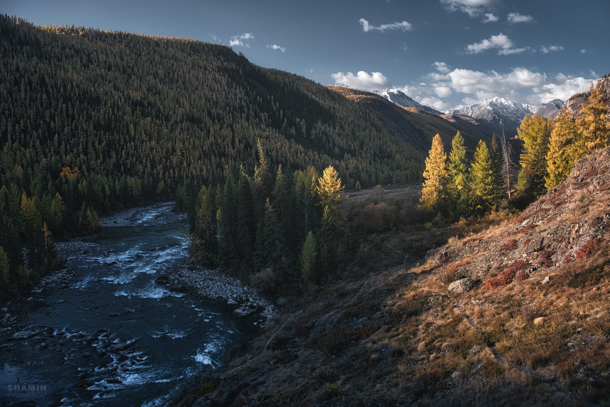 Проект 365. Фотограф Константин Шамин