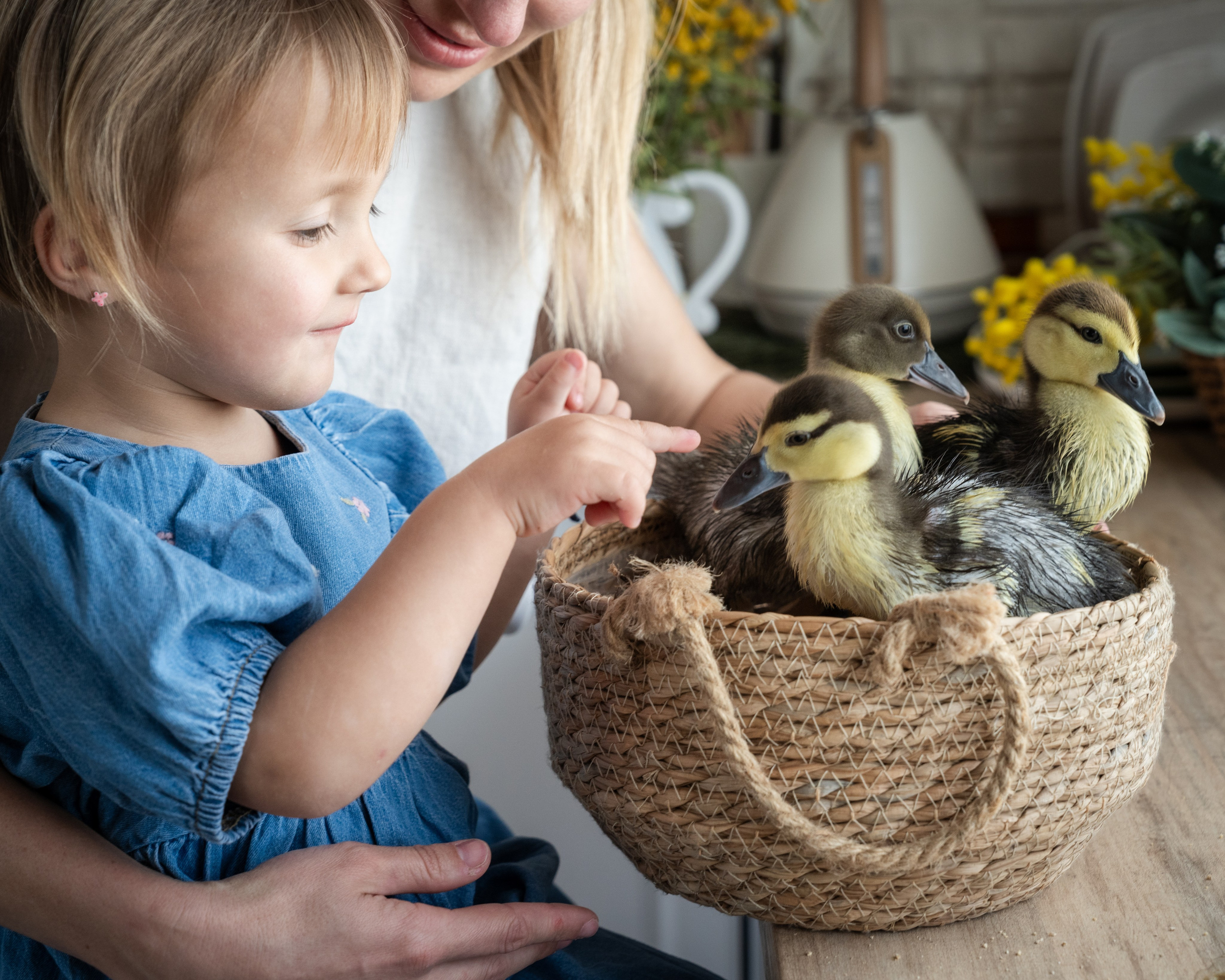 Семейная фотосессия в Аликанте | Детский фотограф. Фотограф в Аликанте СветЛана Константинова