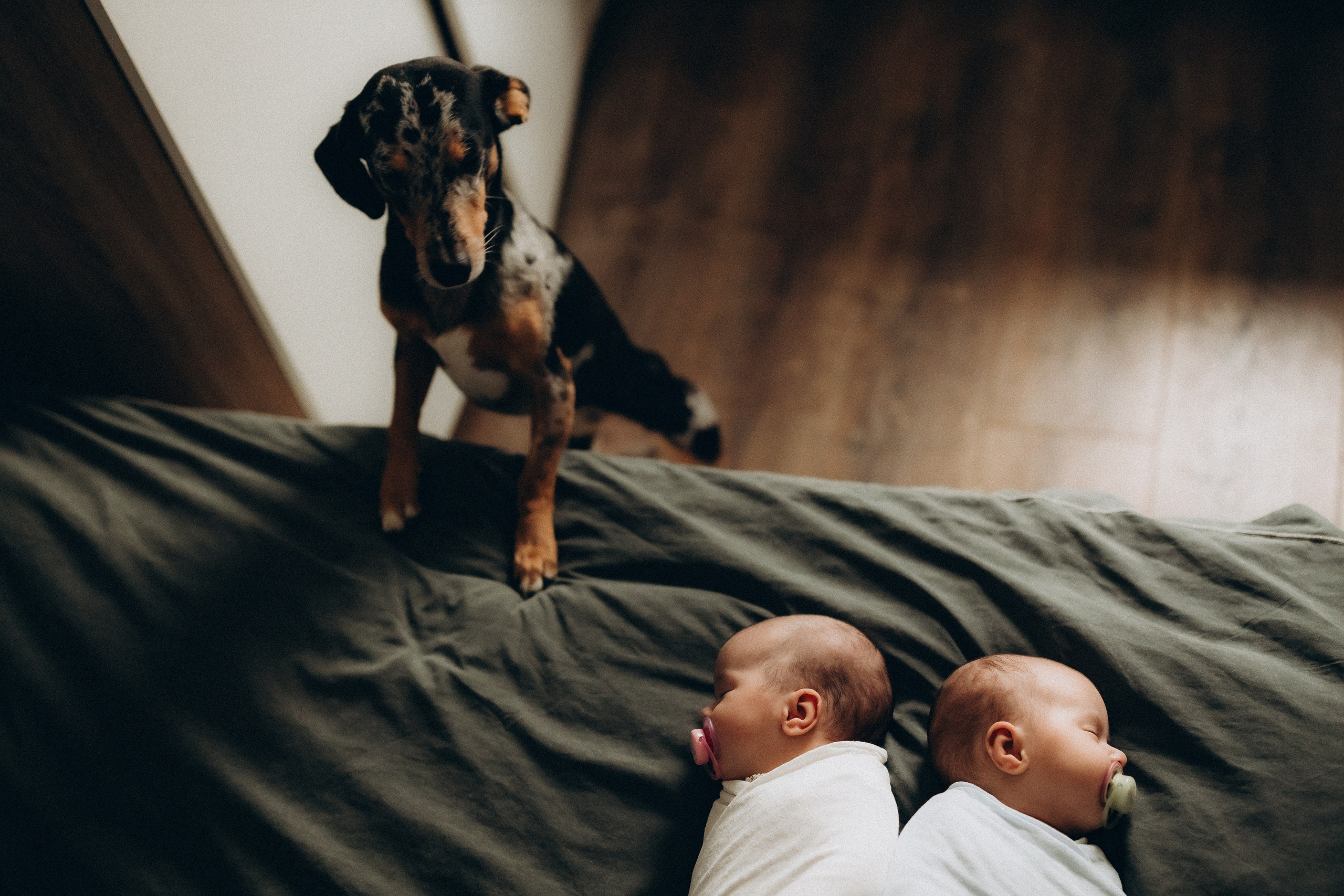 Евгения Пелипас