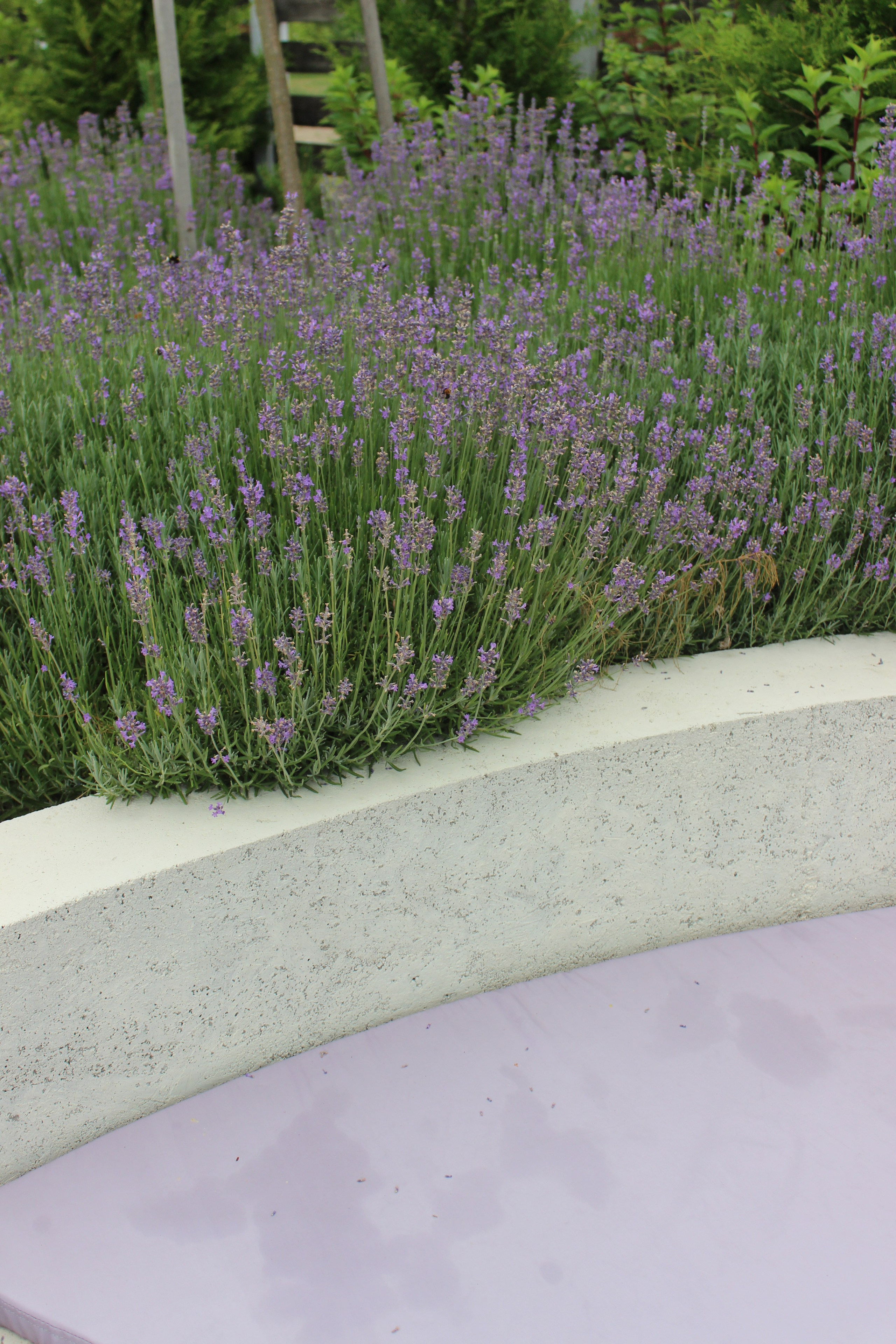 GARDEN IN R. LA. Ландшафтный дизайн в Минске и Гродно