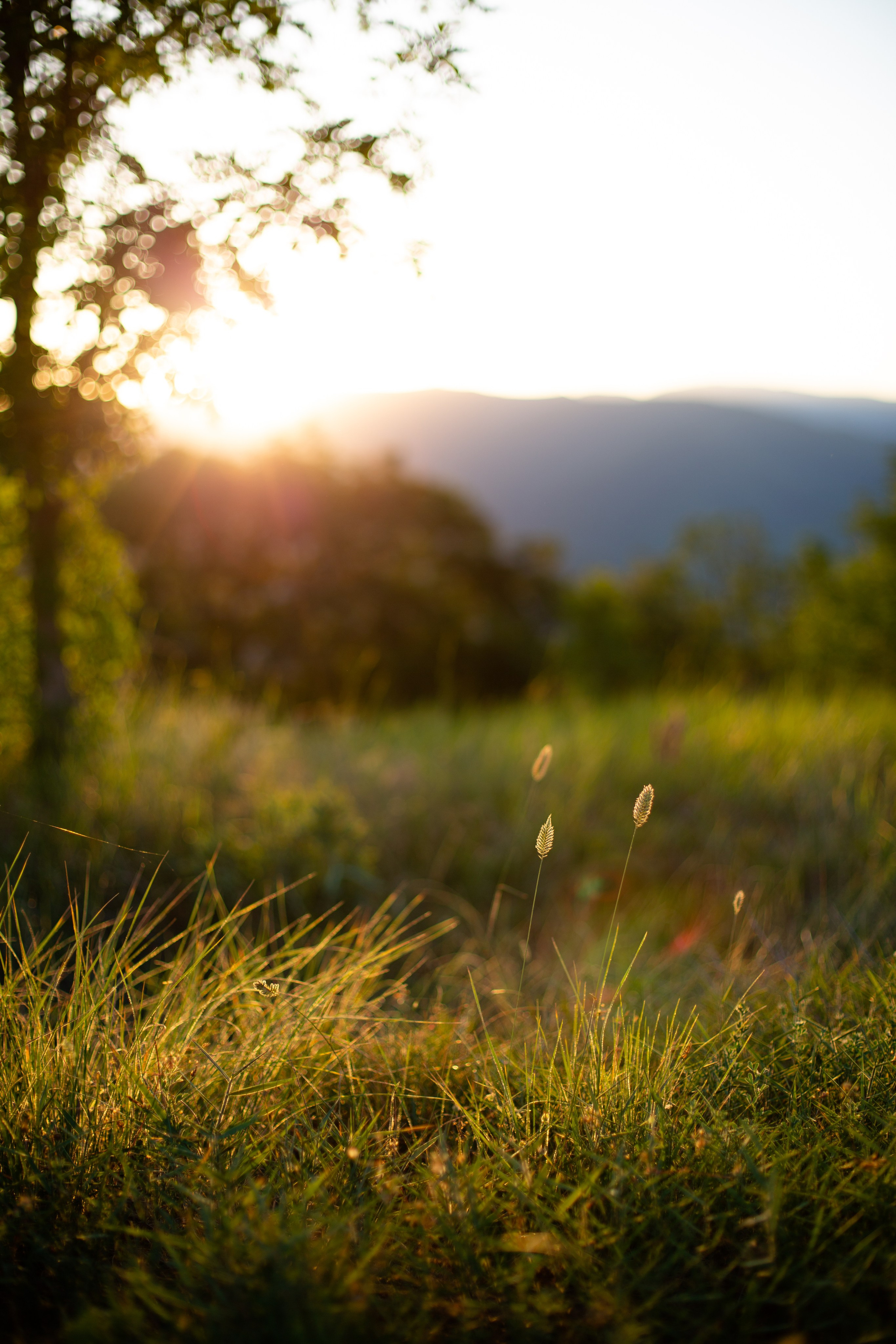 Дороги земли ветров. Портретный фотограф в Москве и Геленджике Кирилл Вахитов