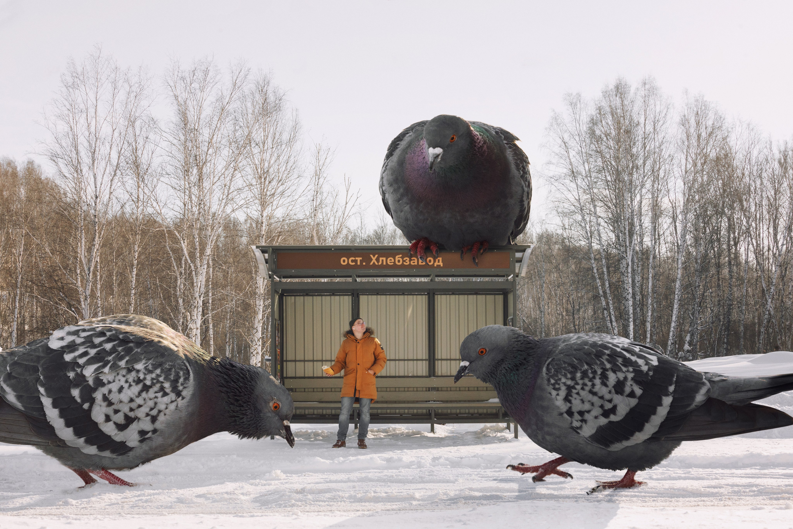 Профессиональный фотограф в Новосибирске