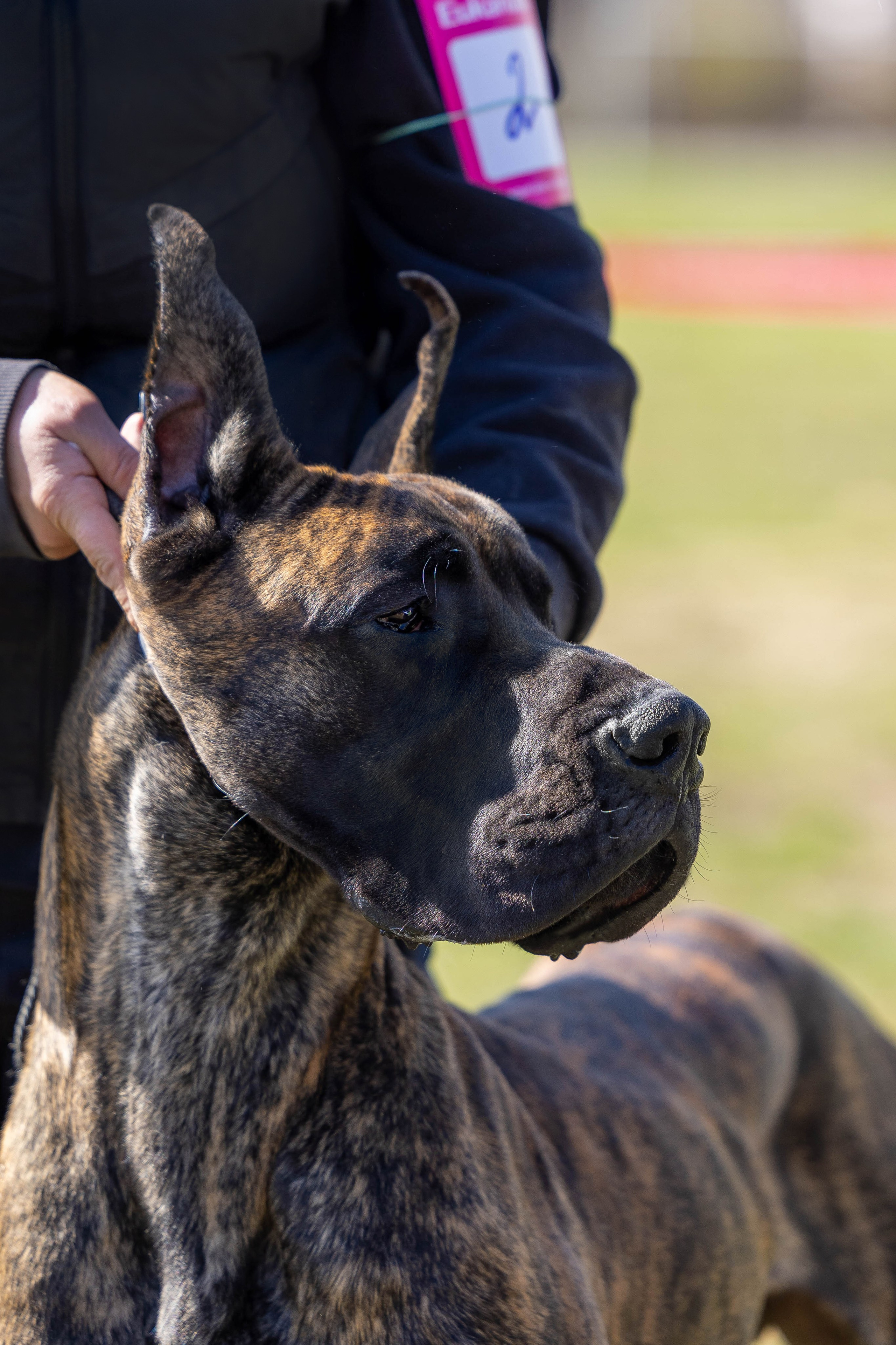 Фотограф Анималист в Перми Анастасия Остерман