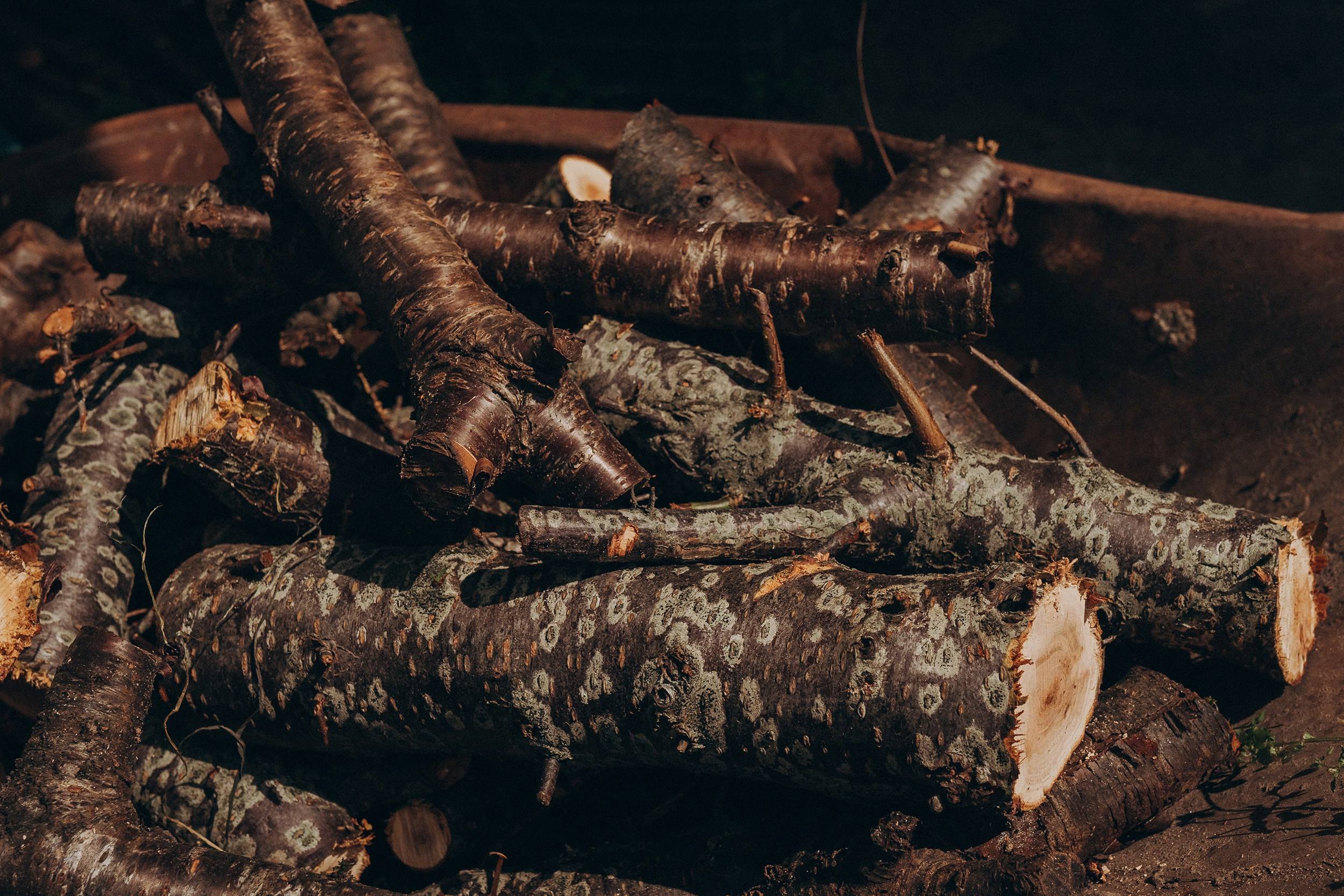 Поколения. Детский и семейный фотограф — Калининград — Юля Насифуллина