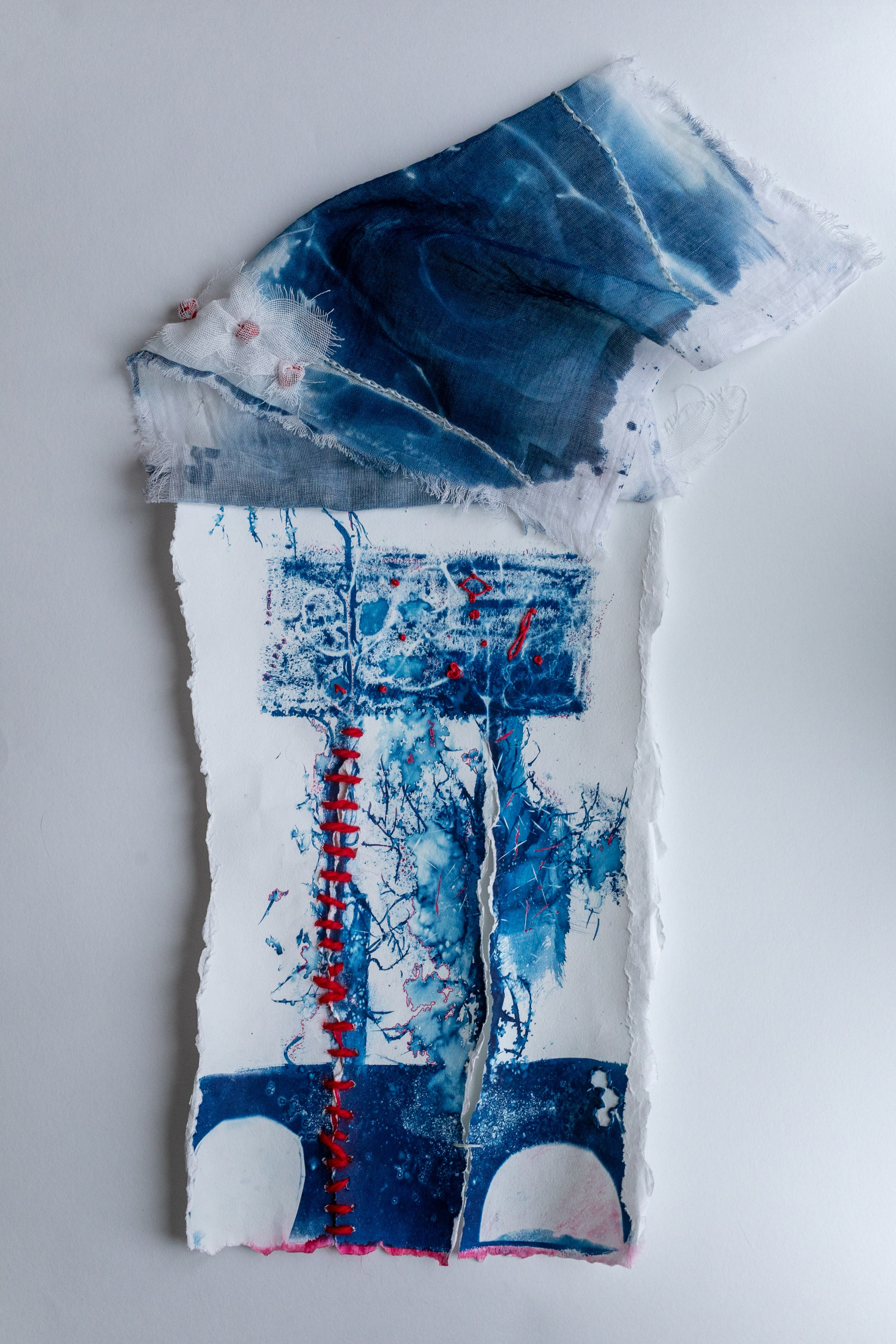 CYANOTYPE. CONTEMPORARY ARTIST OLGA ANDRIYASH