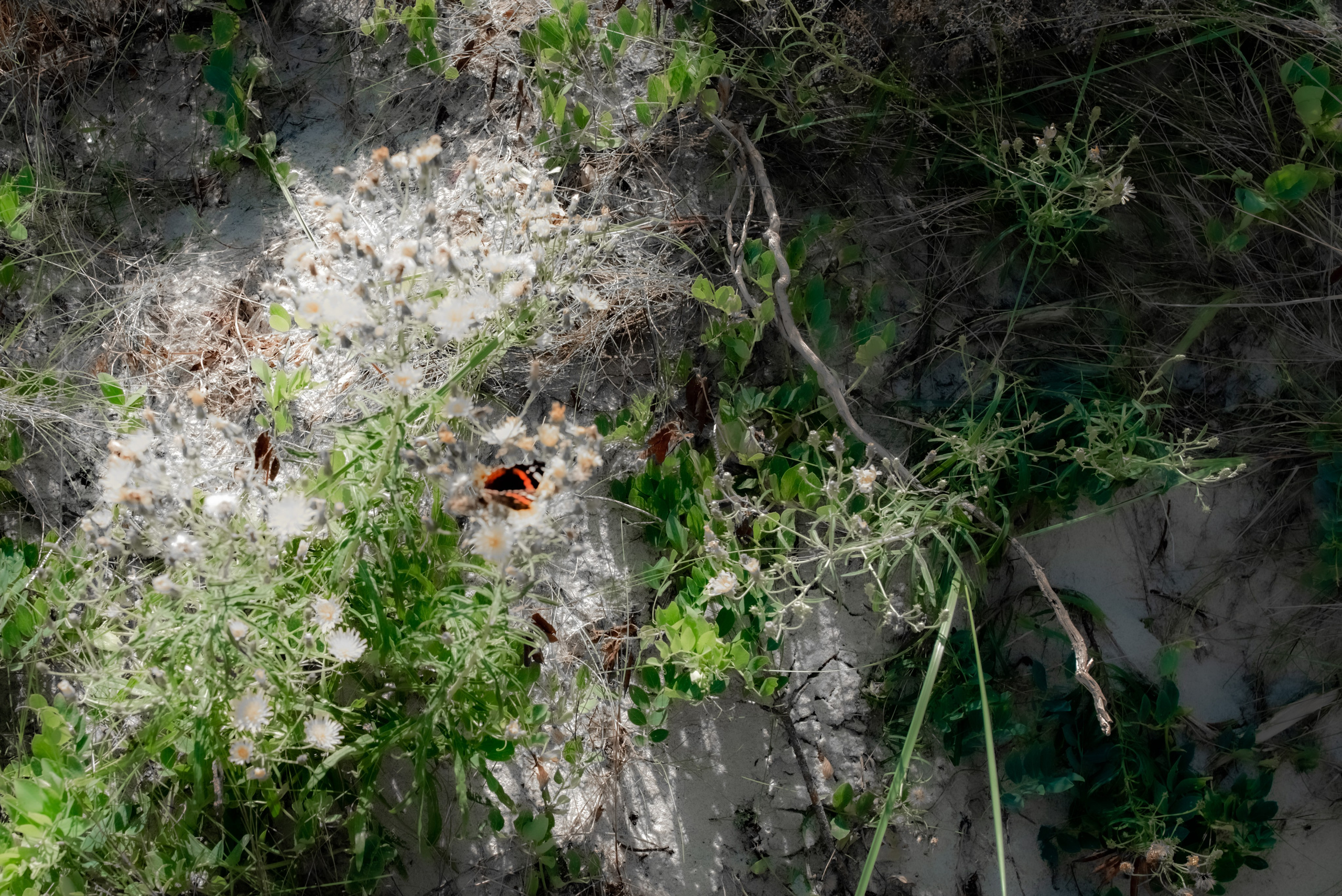 Архитектура Калининградской области. Женский фотограф Крещение Венчание Москва Брянск