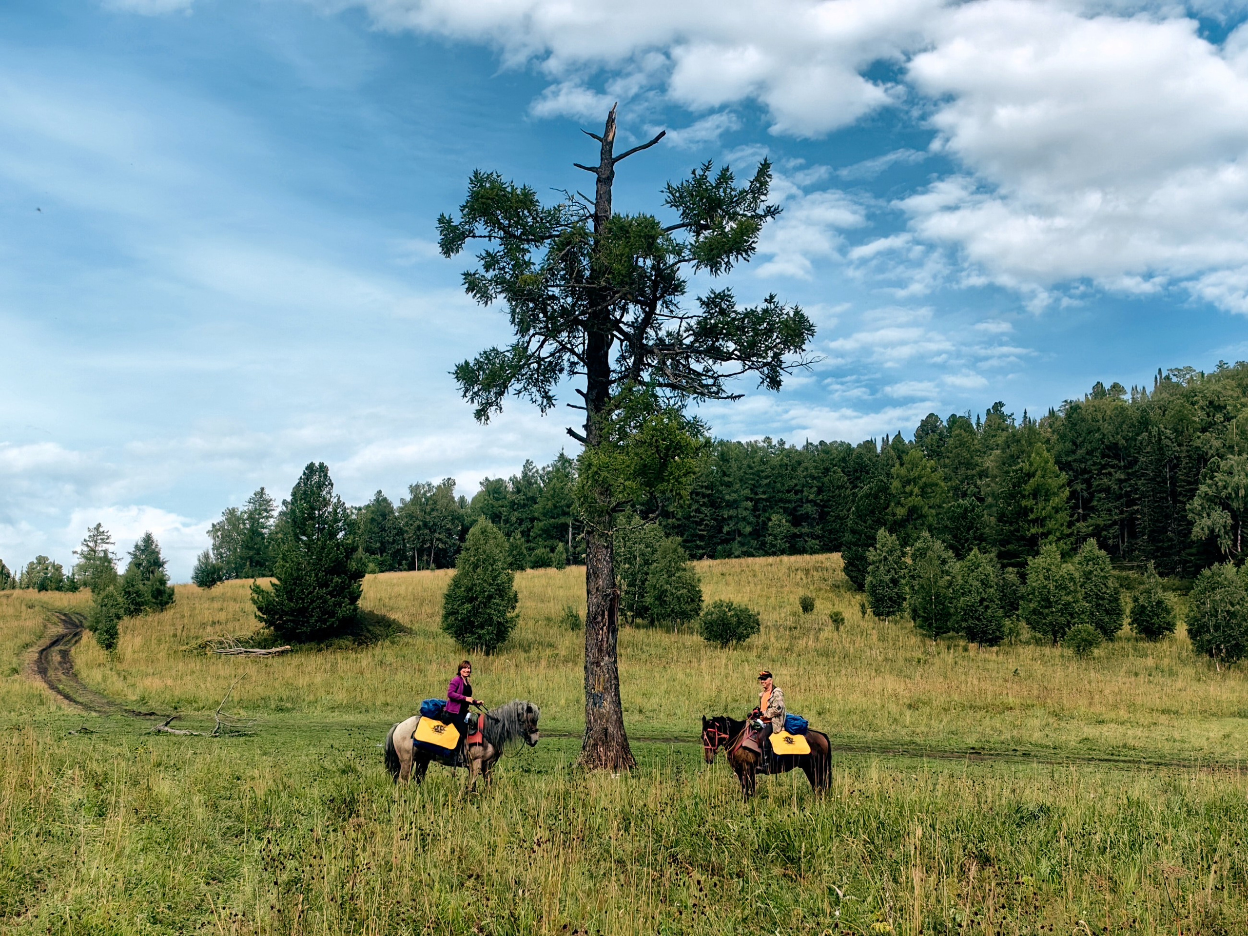 Главная. Юрий Березнюк. Фотограф в Новороссийске. Фотожурналистика