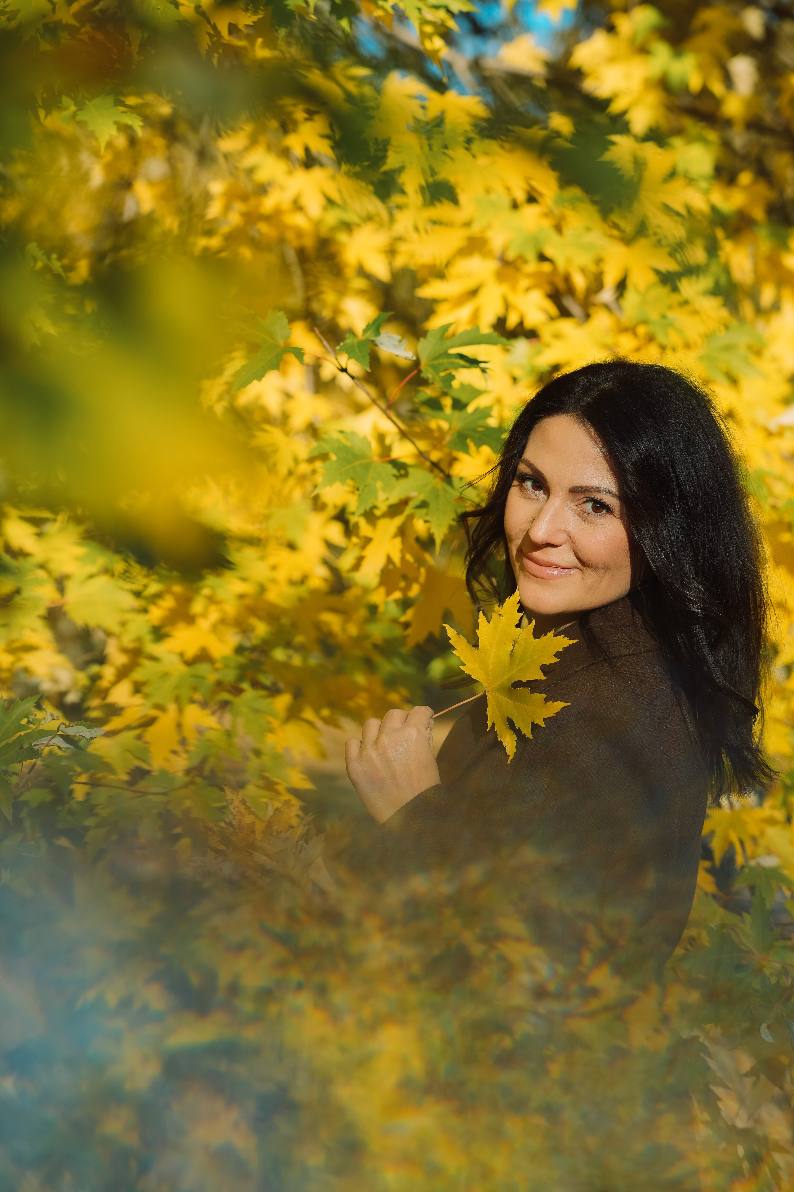 Красивая девушка брюнетка в парке золотой осенью в желтых кленовых листьях