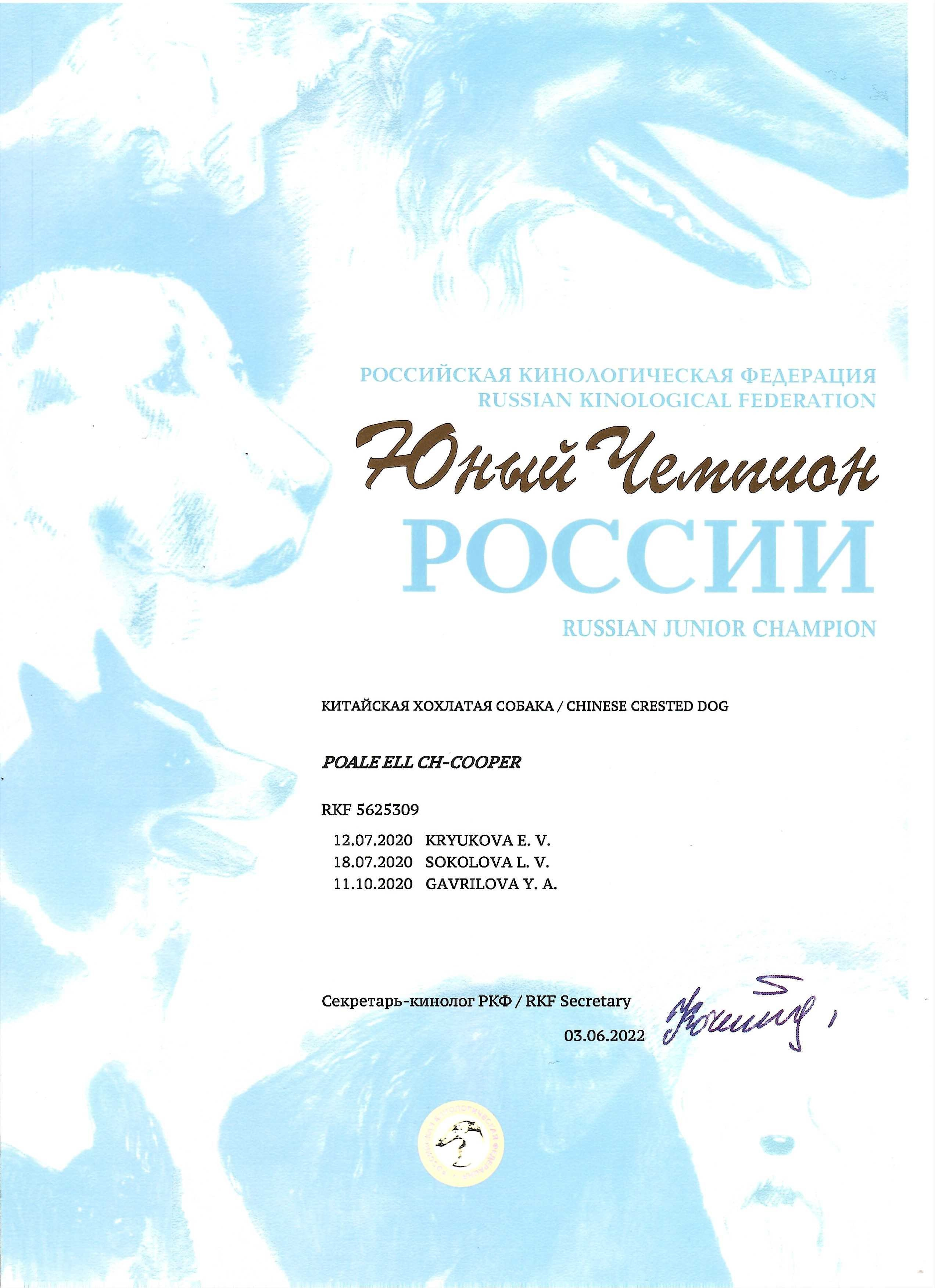 Poale Ell Cooper. Chinese Crested Dog Kennel Poale Ell