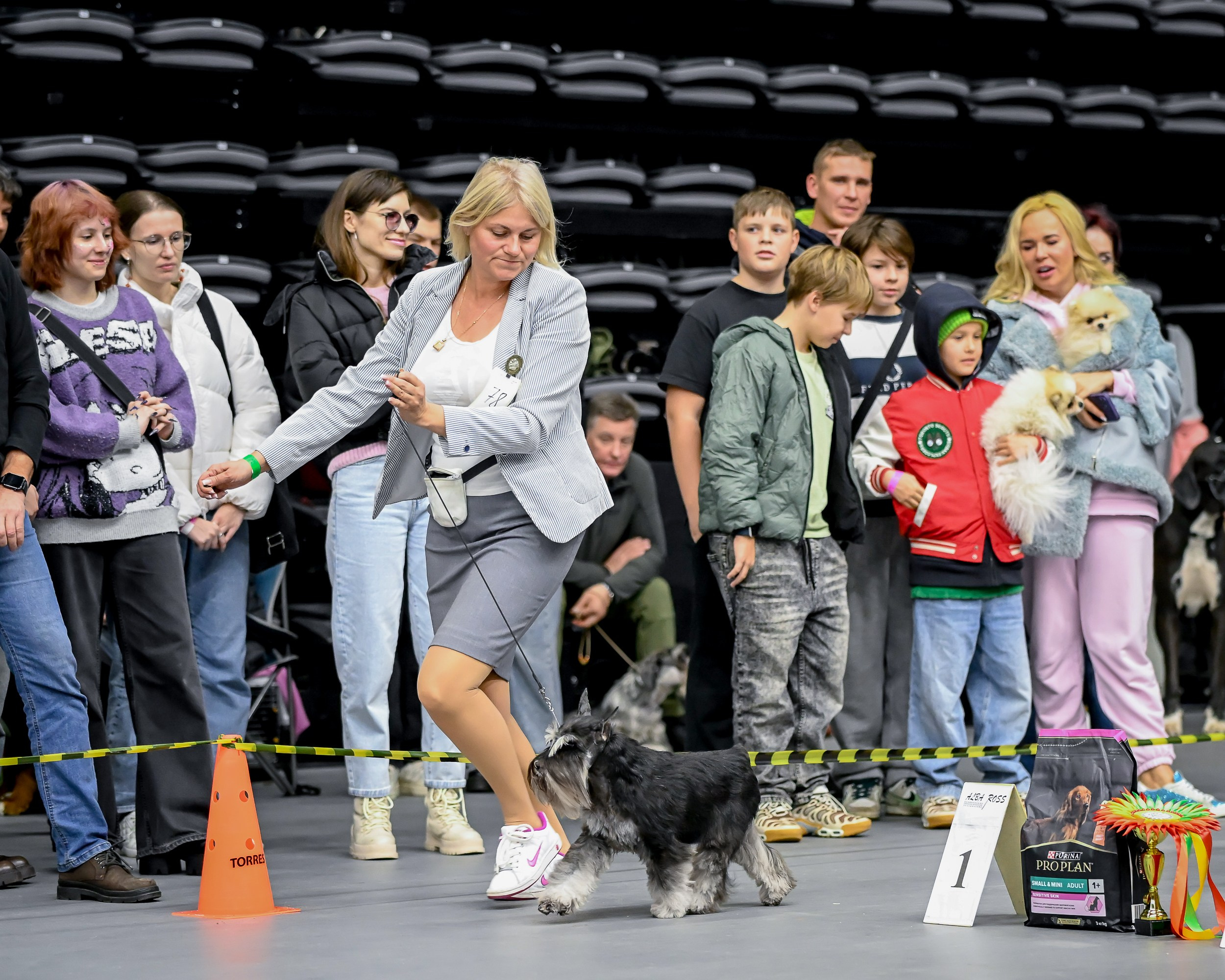 Софи/Asson Ari Vivien Marceau. Питомник цвергшнауцеров в Беларуси «Делинсо Бэлэнс»