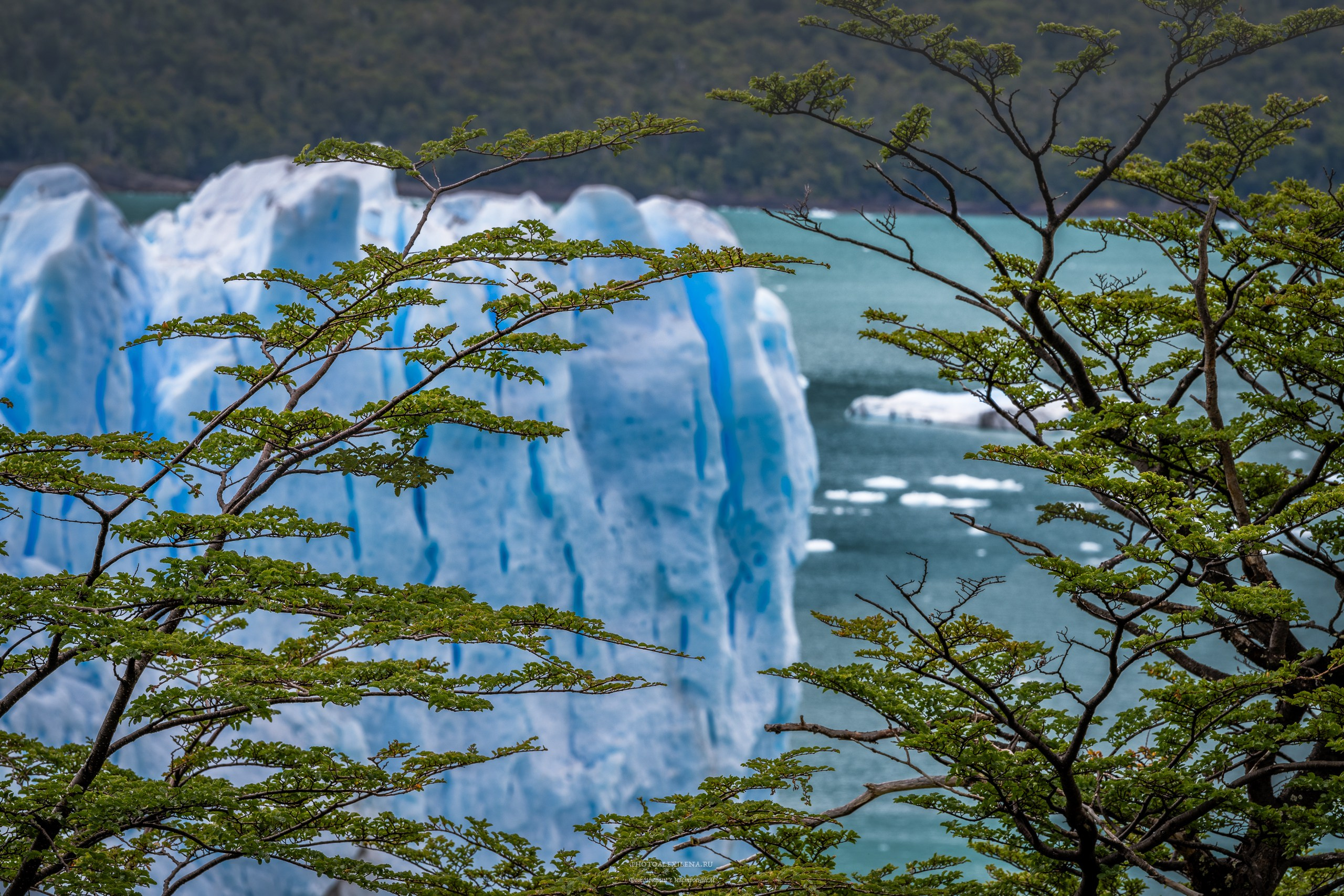 Ледник Перито-Морено, Лагуна Нимез и озеро Архентино. Авторские стильные фотокартины