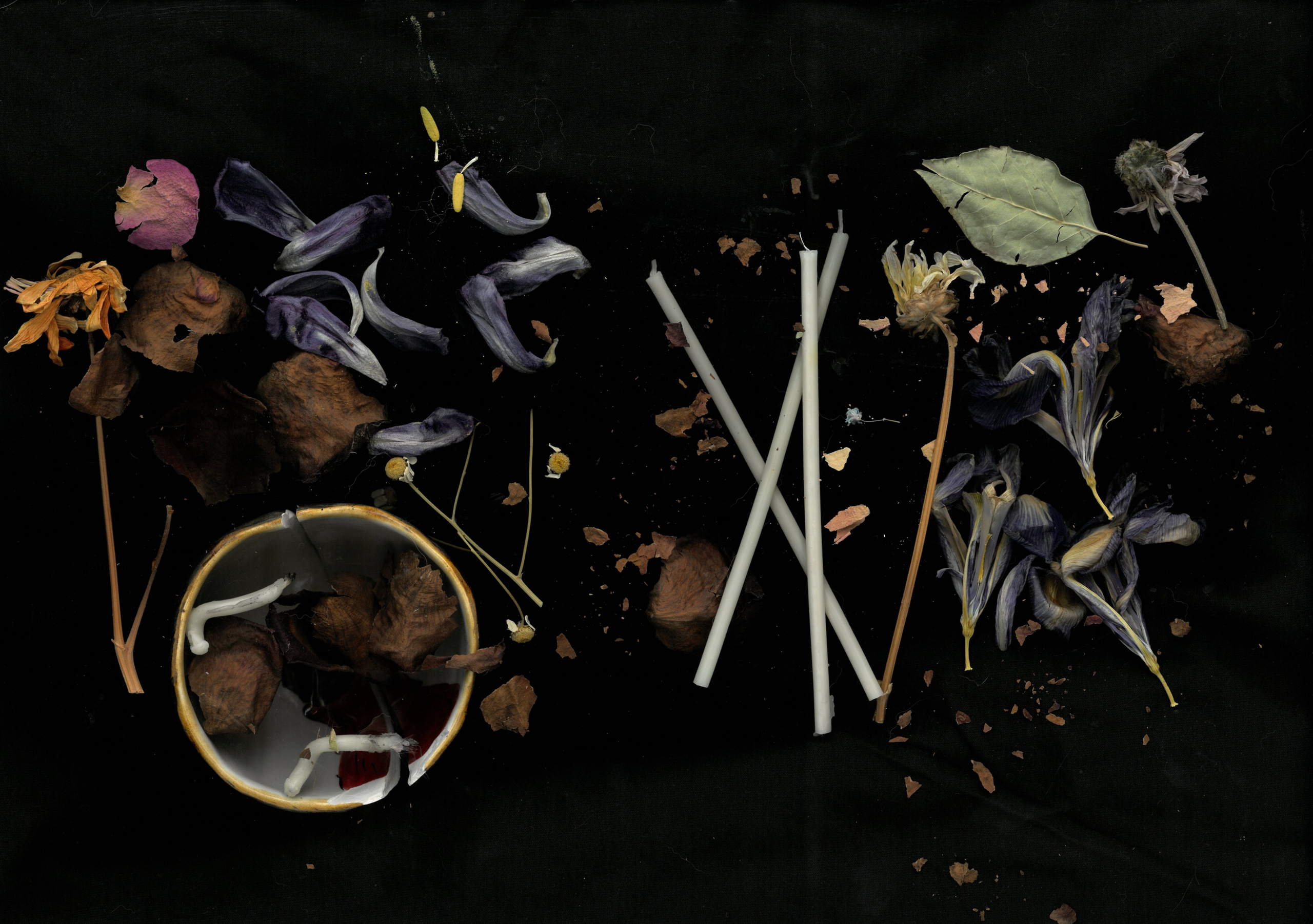 Скрытая иллюминация. Катрин Эдельвак