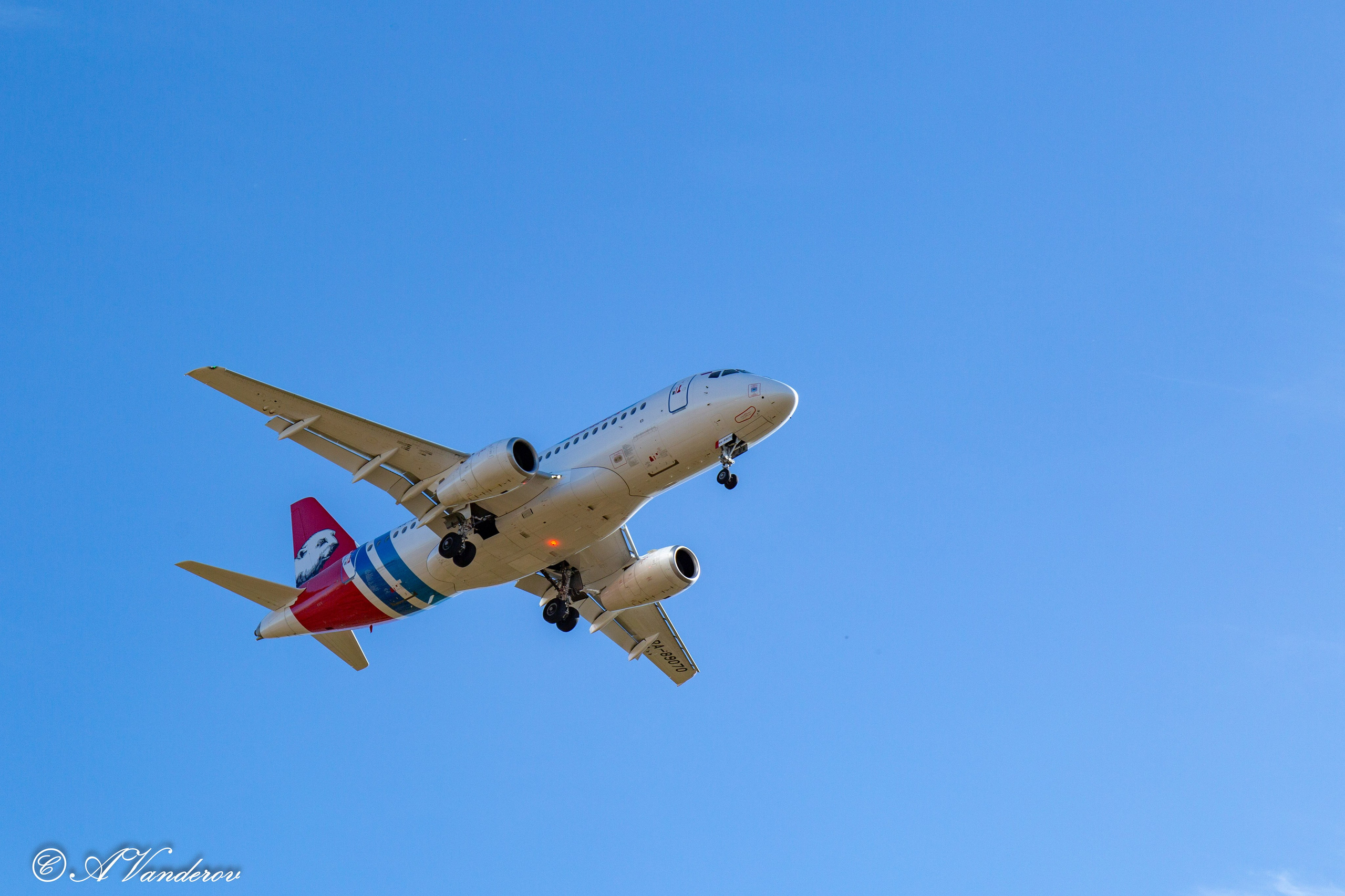 День ходьбы 2024. Фотограф Омск | Александр Вандеров