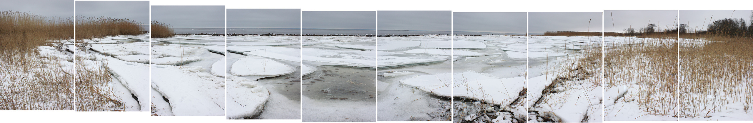 Терехова Арина, документальный фотограф