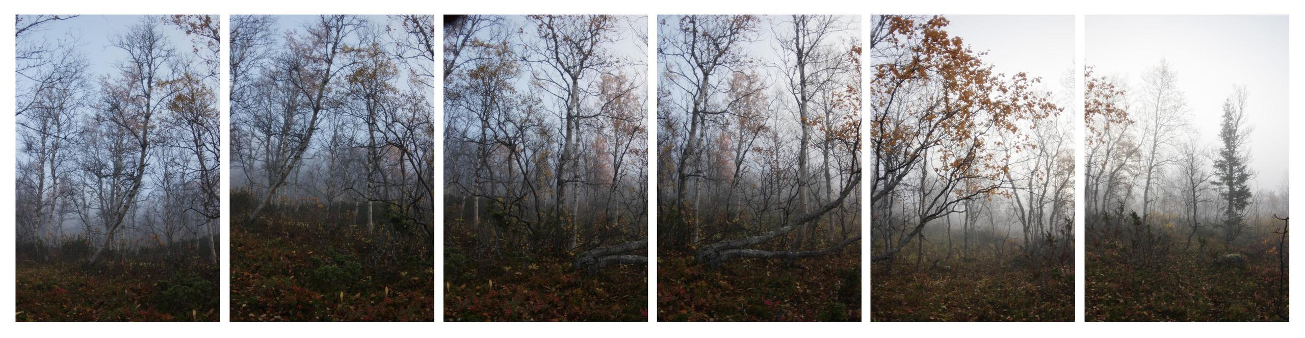 Терехова Арина, документальный фотограф