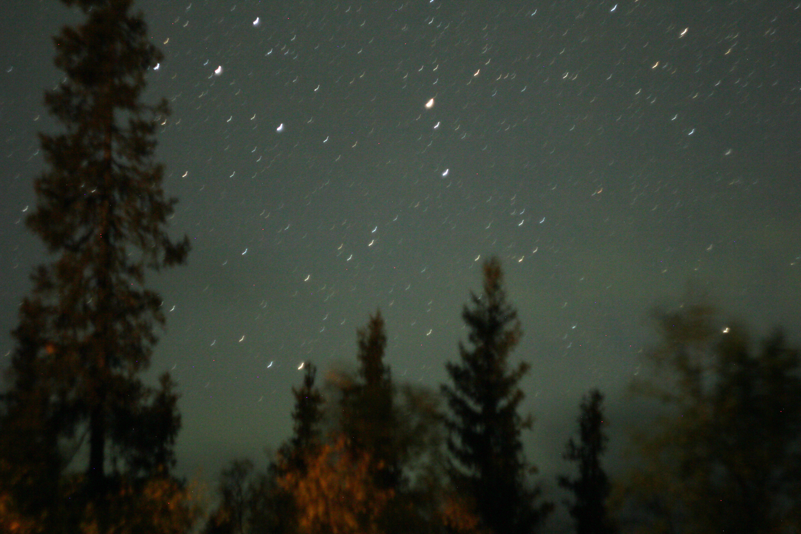 Терехова Арина, документальный фотограф