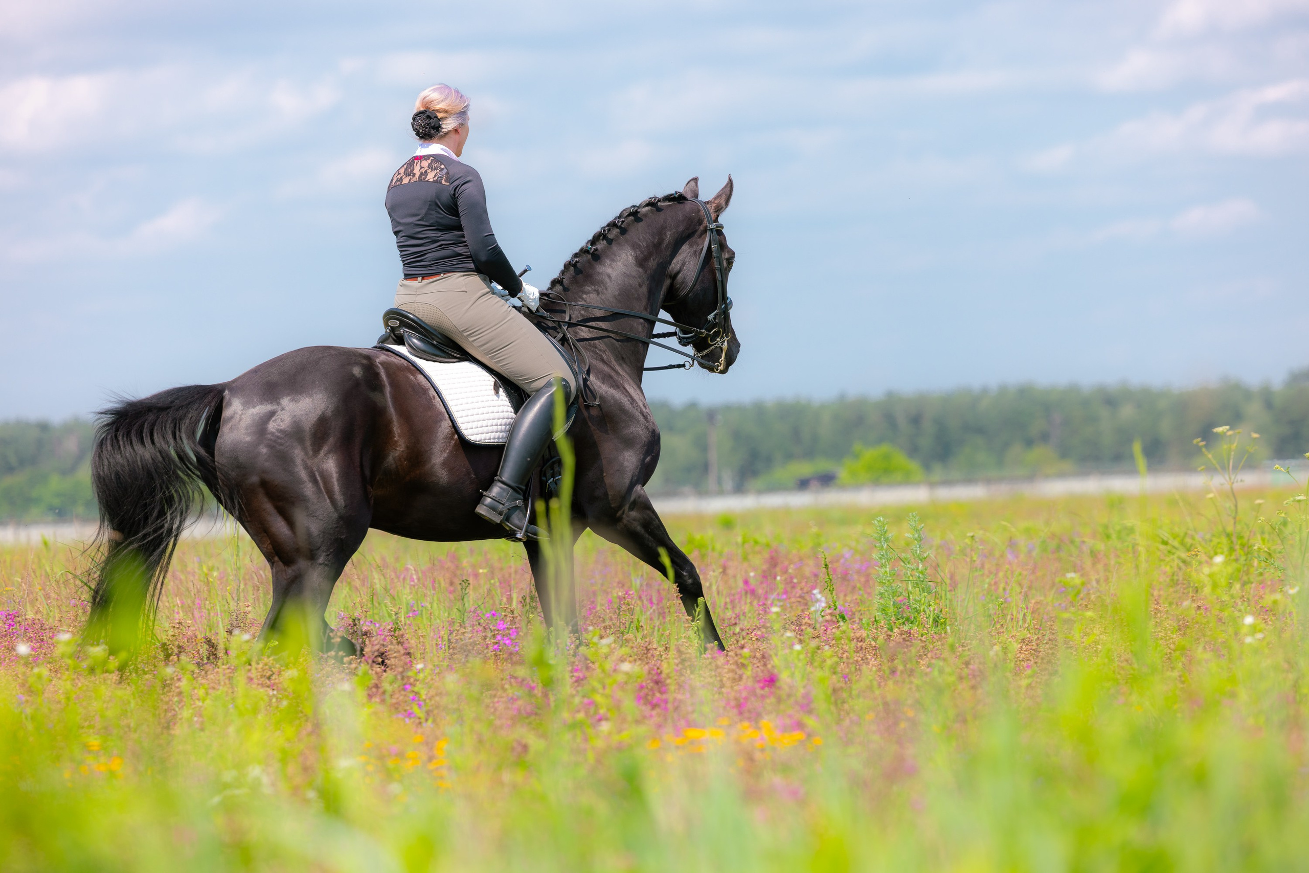 Founder. Liana Antanovich | Equestrian Strategies