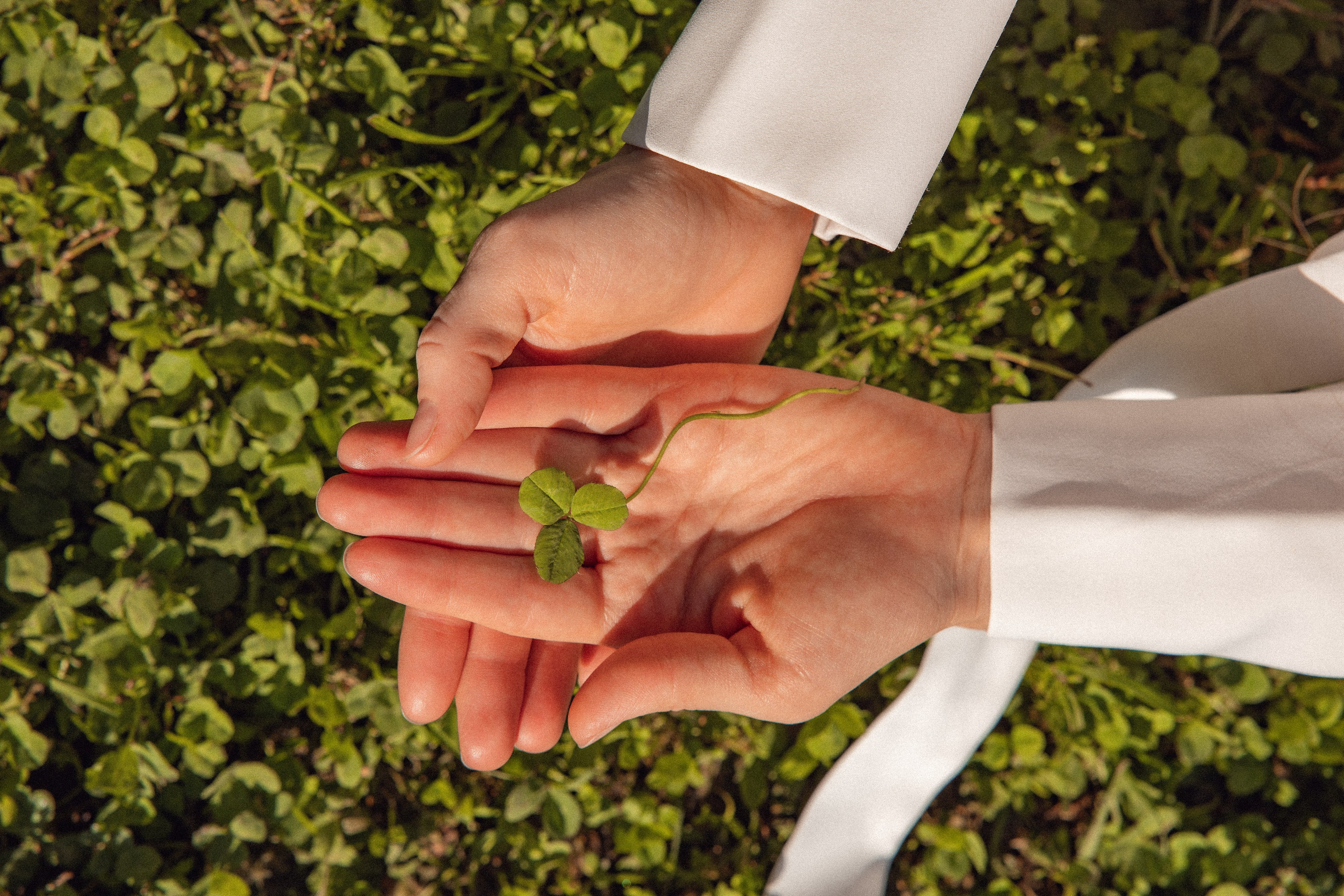 Галя освобождение. Дарья Бухреева — фотограф, видеограф и фототерапевт. Москва и мир