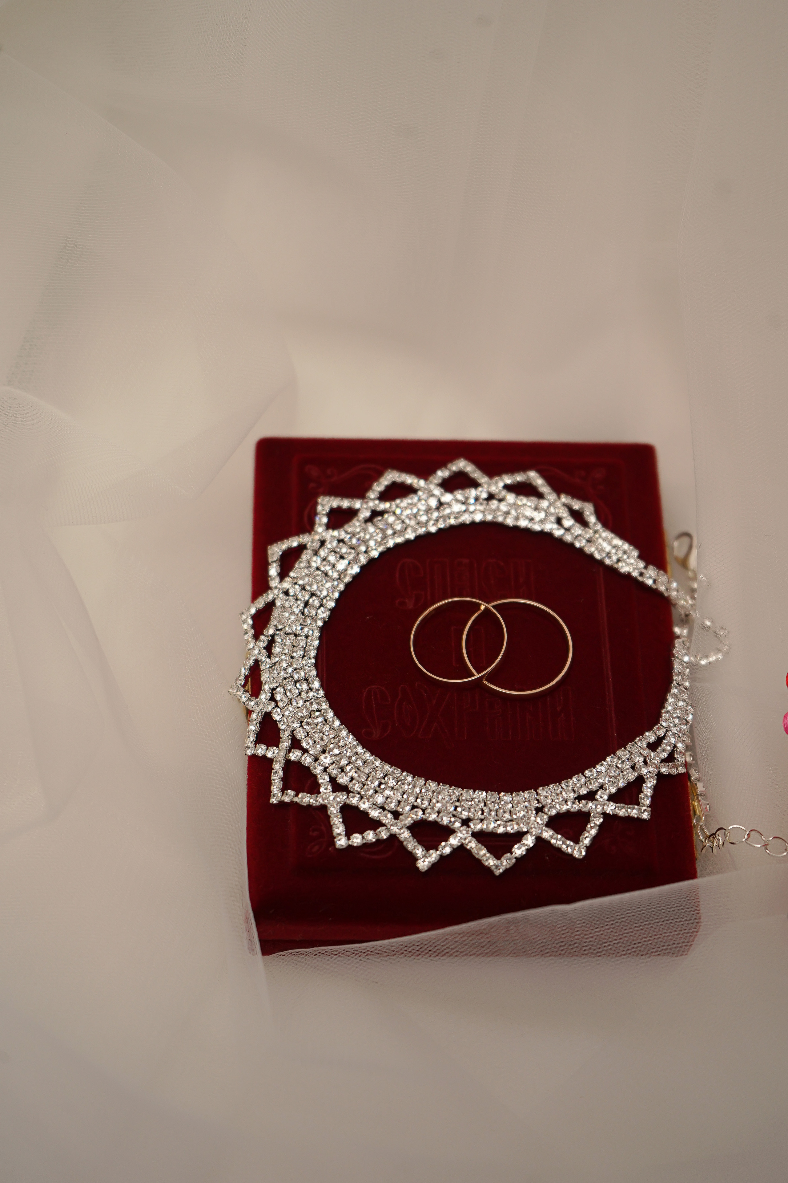 В Кемерово. Фотограф, видеооператор Нина Коршунова