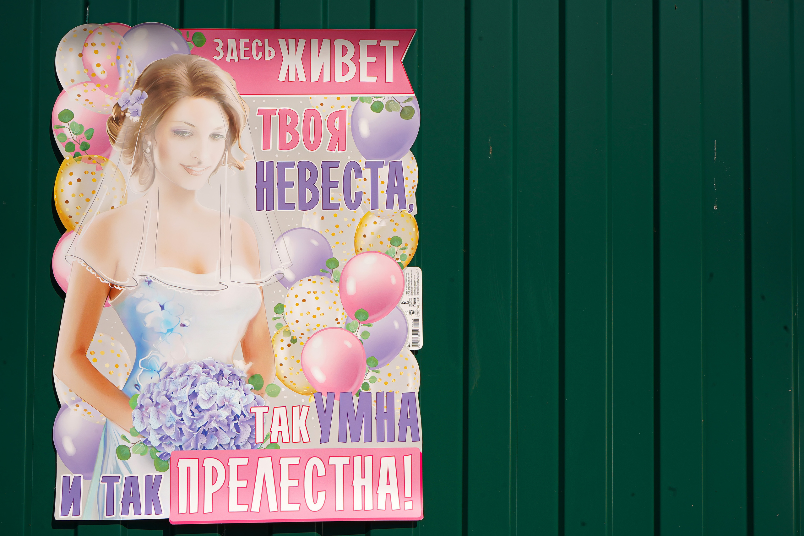 В Кемерово. Фотограф, видеооператор Нина Коршунова