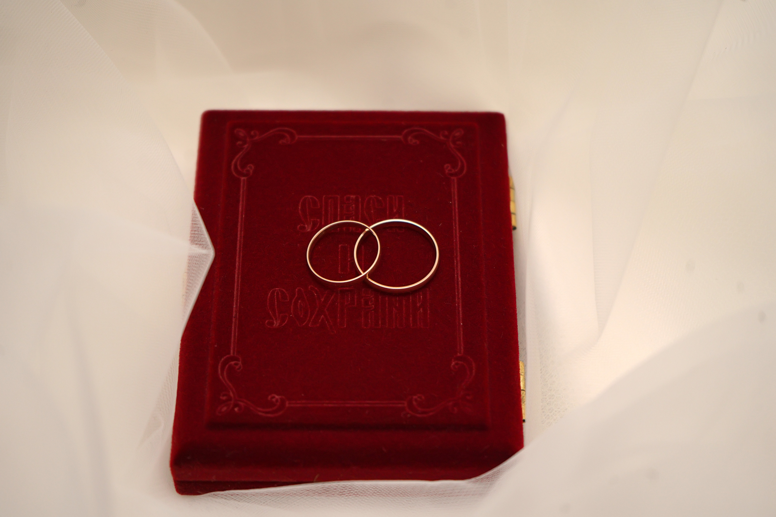 В Кемерово. Фотограф, видеооператор Нина Коршунова