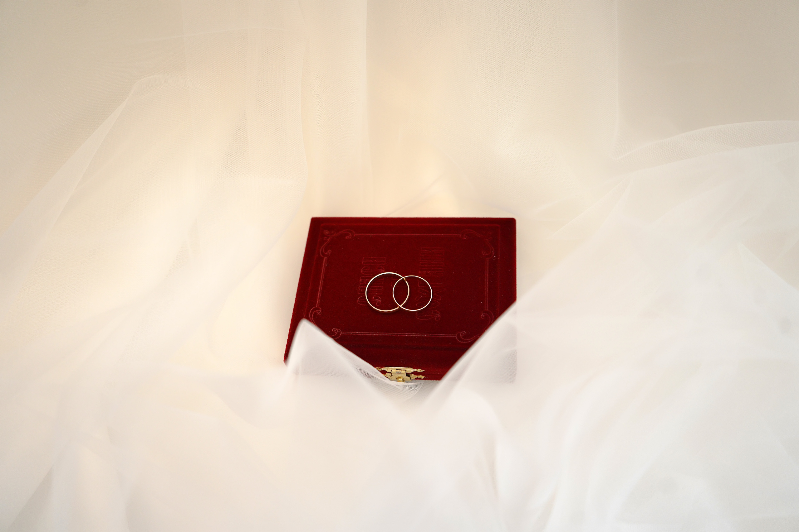 В Кемерово. Фотограф, видеооператор Нина Коршунова