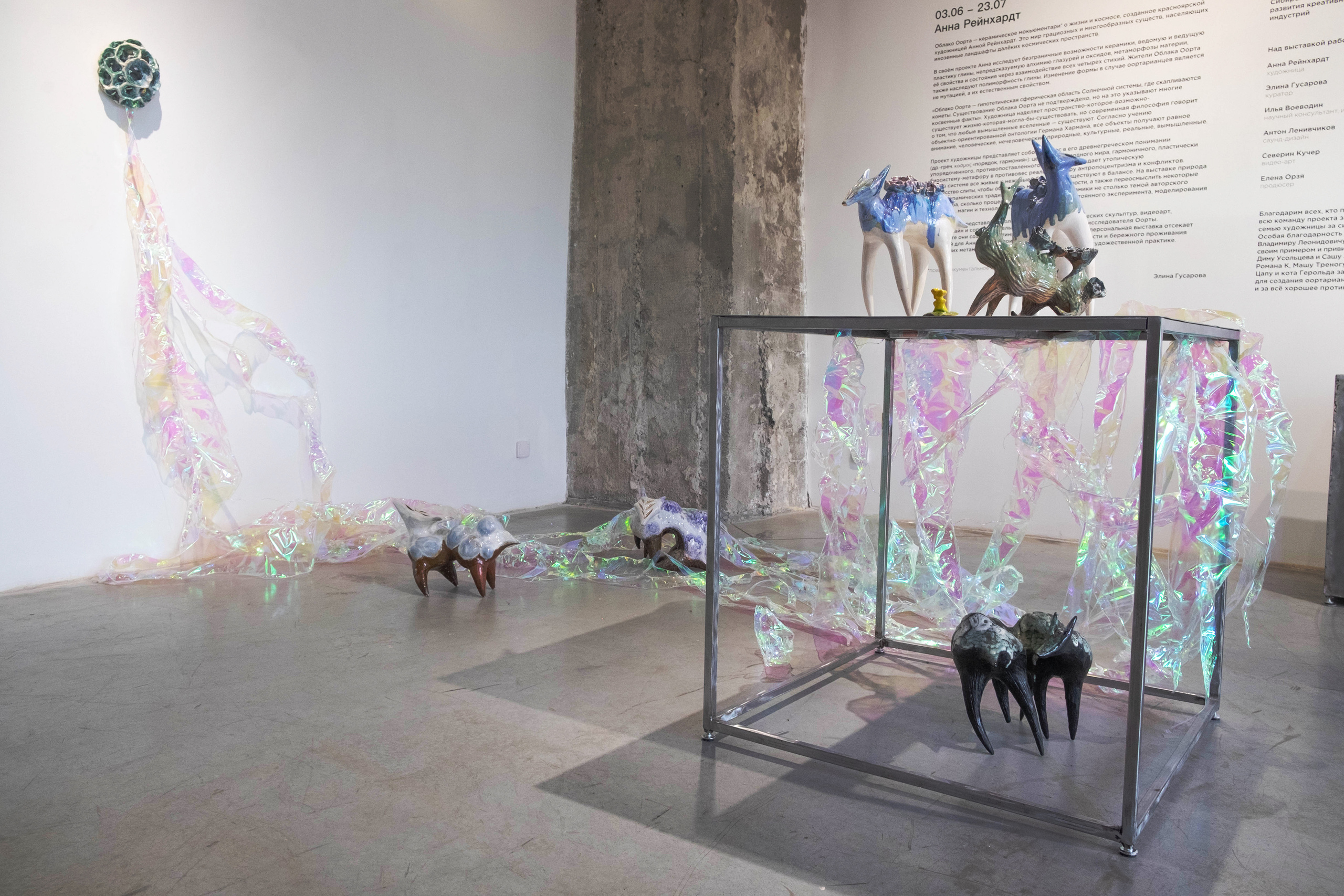 Облако Оорта. Анна Рейнхардт. Элина Гусарова